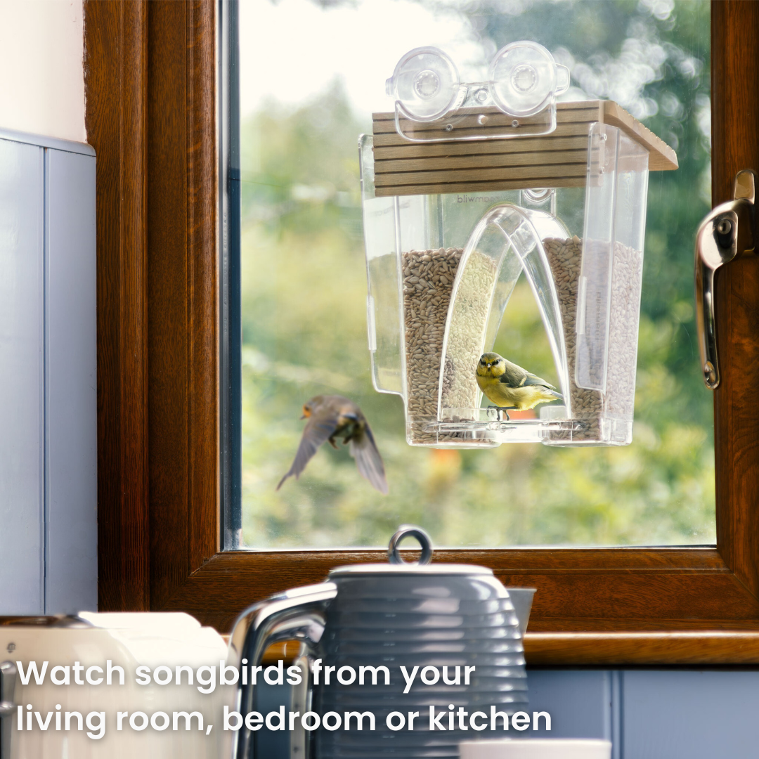 Roamwild Arch Window Bird Feeder