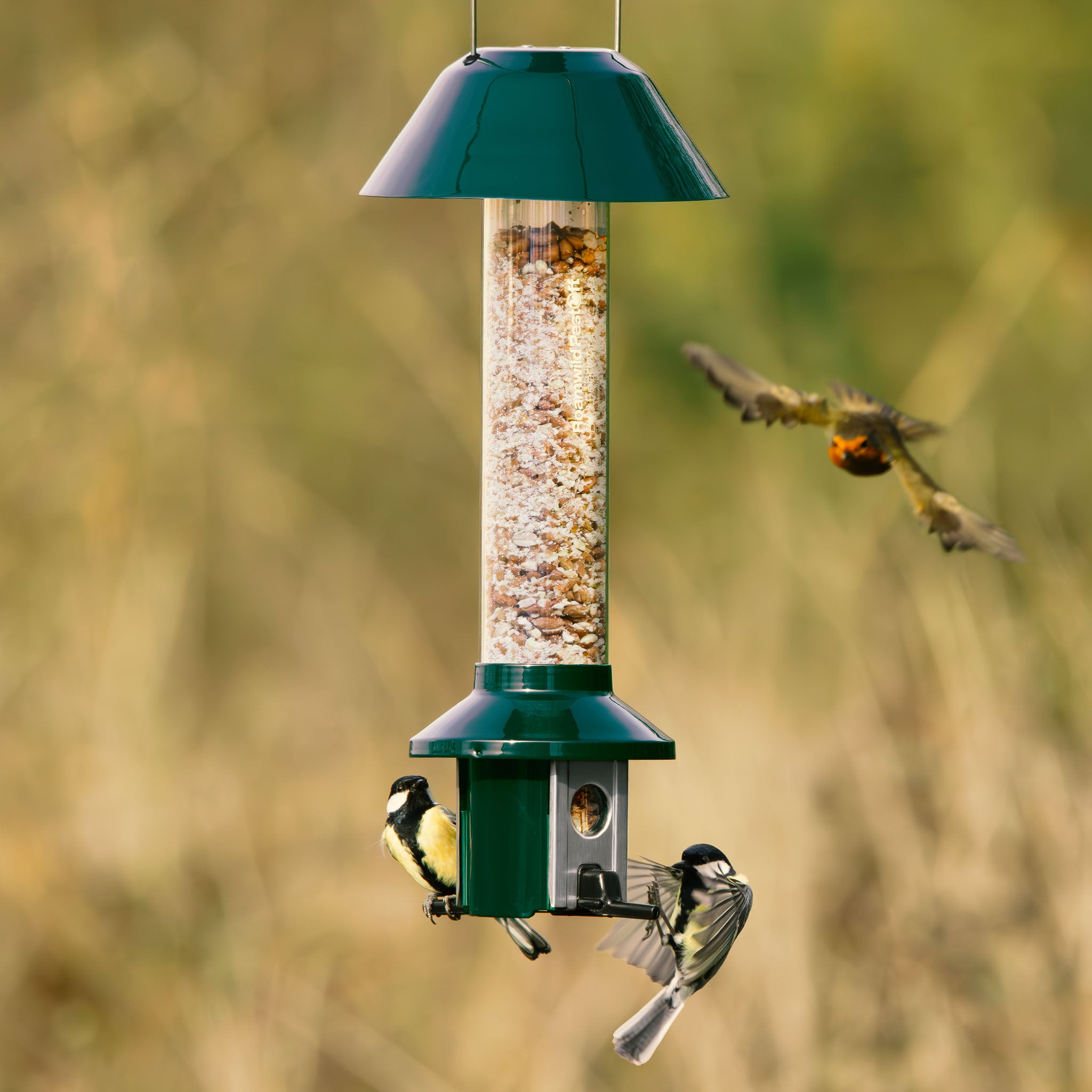 Roamwild PestOff Squirrel Proof Bird Feeder - Compact