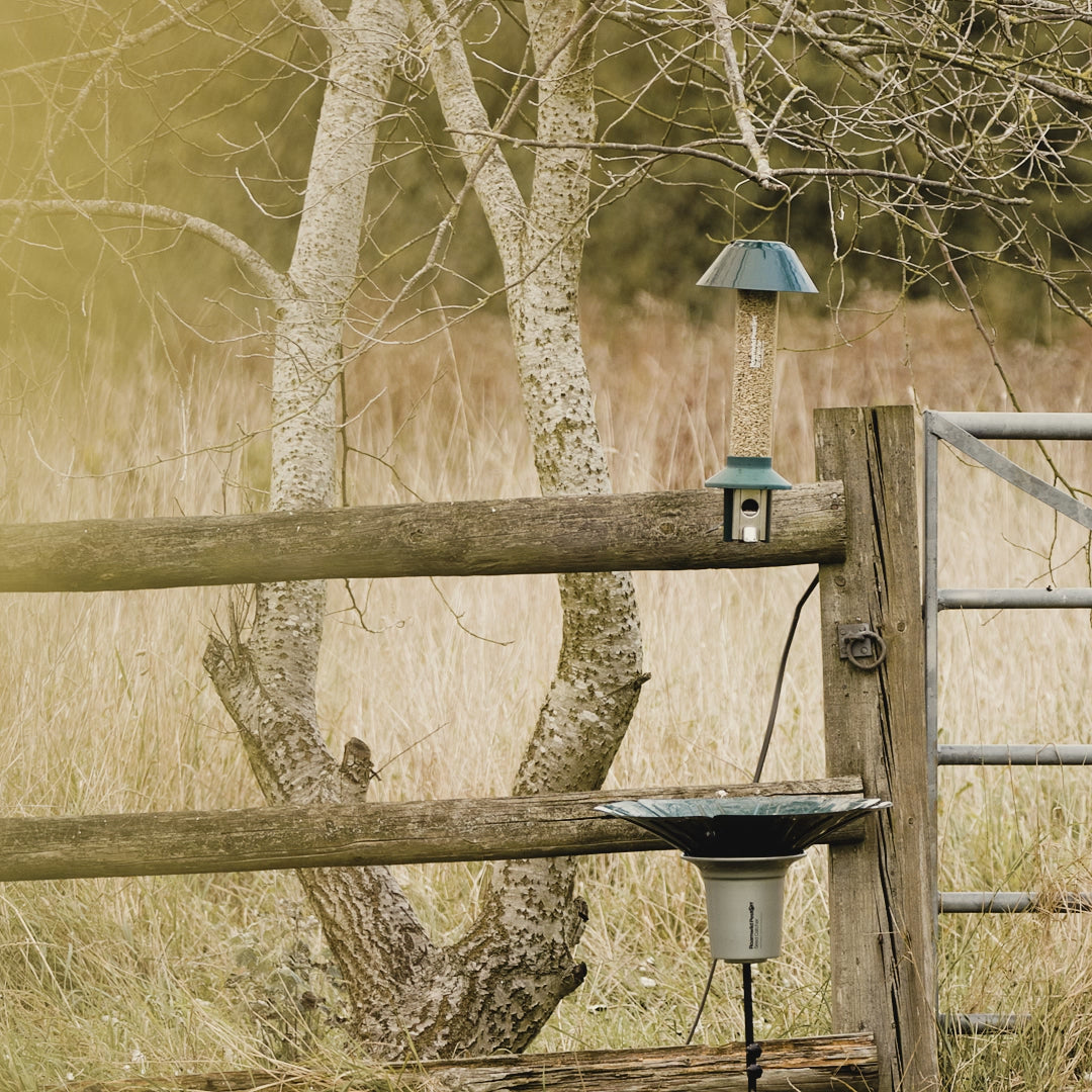 Video laden: Roamwild PestOff Vogelfutterfänger