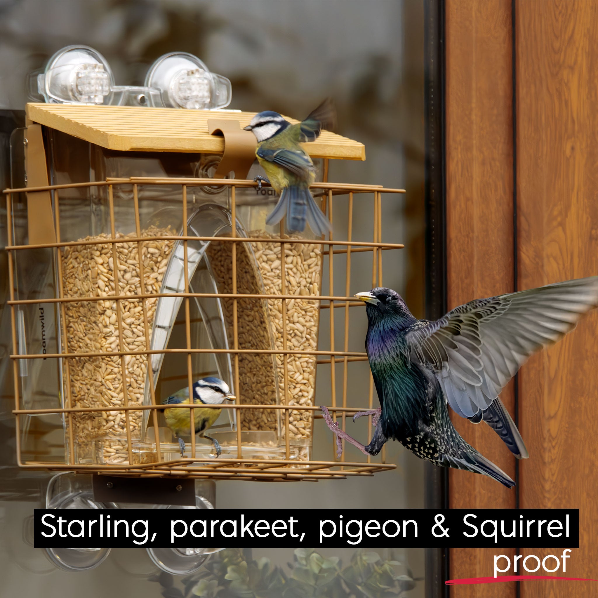 Bogenfenster-Futterspender: Eichhörnchensicheres Käfigzubehör