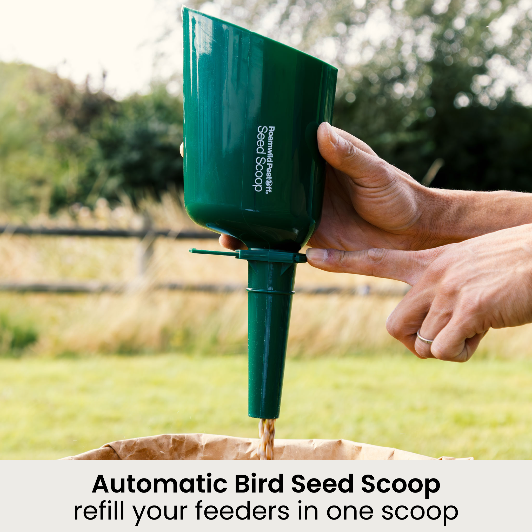 Arch Window Bird Feeder Set