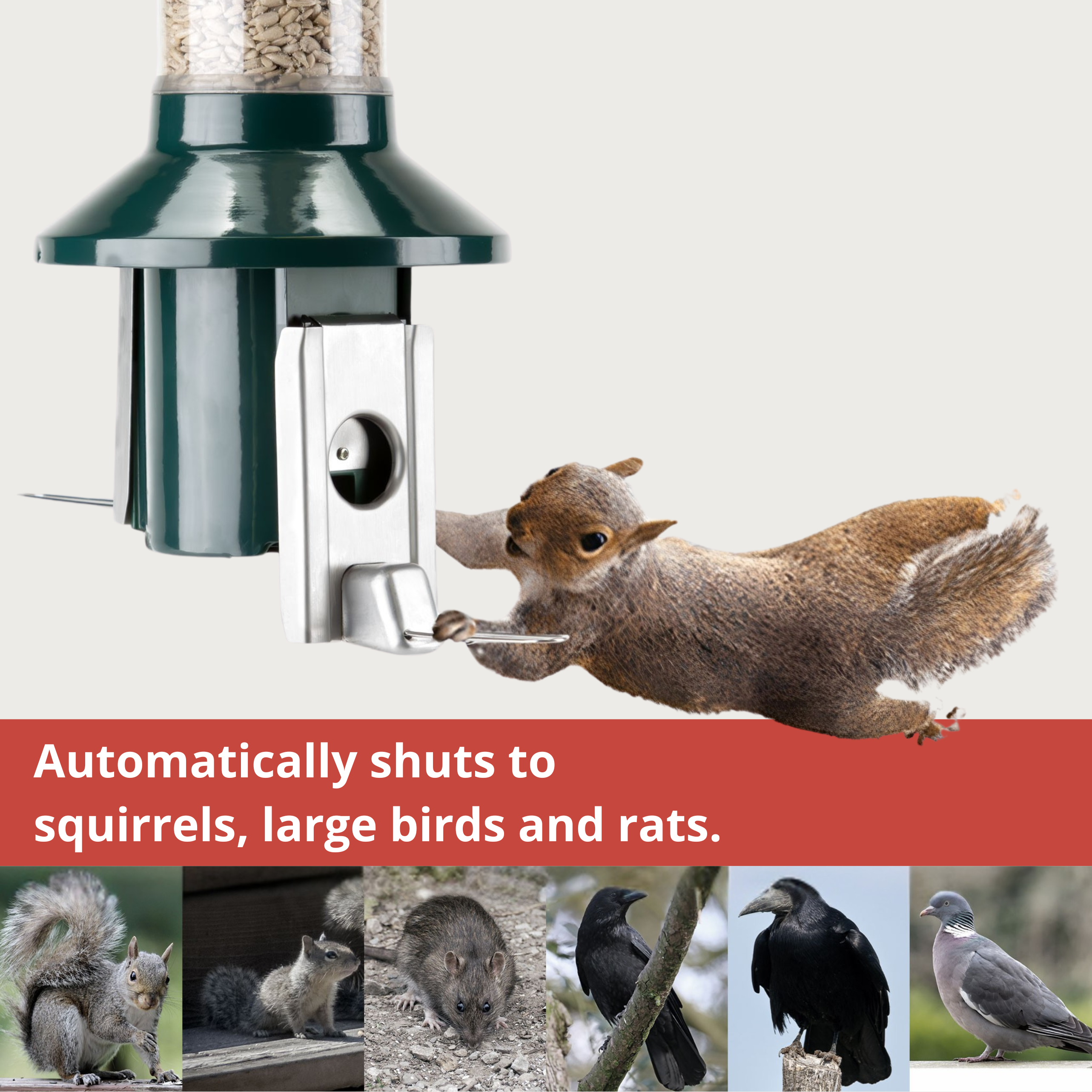 Roamwild PestOff Squirrel Proof Bird Feeder 2.0 For Mixed Seed/Sunflower Hearts