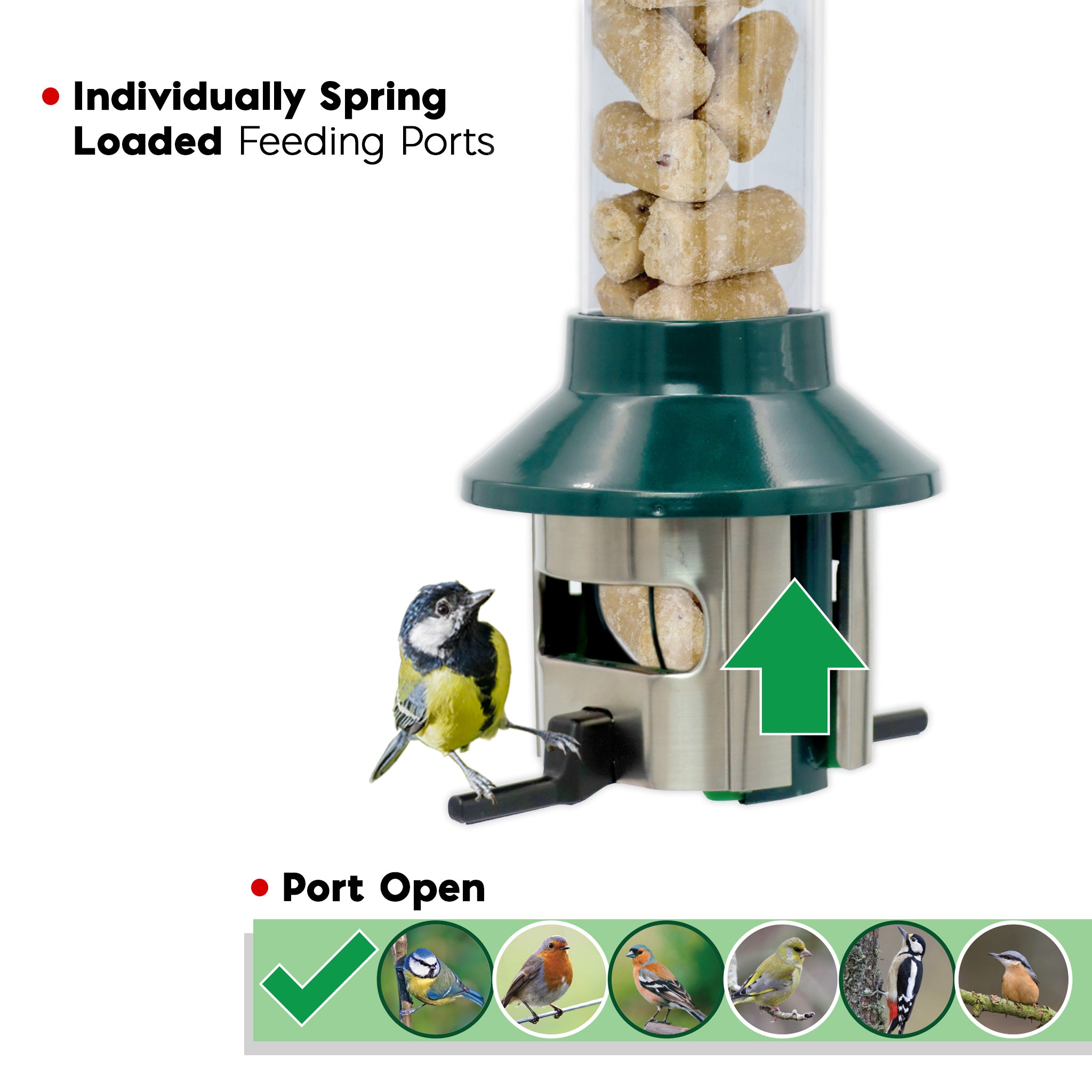 Roamwild PestOff Vogelfutterspender für Talgnuggets/Meisenknödel 