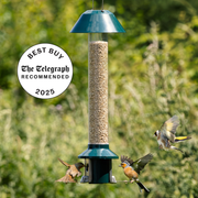 Roamwild PestOff Bird Feeder 2.0