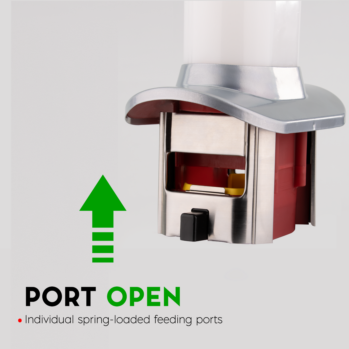 Visual Reference: Roamwild Pestoff Rat Proof Chicken Feeder