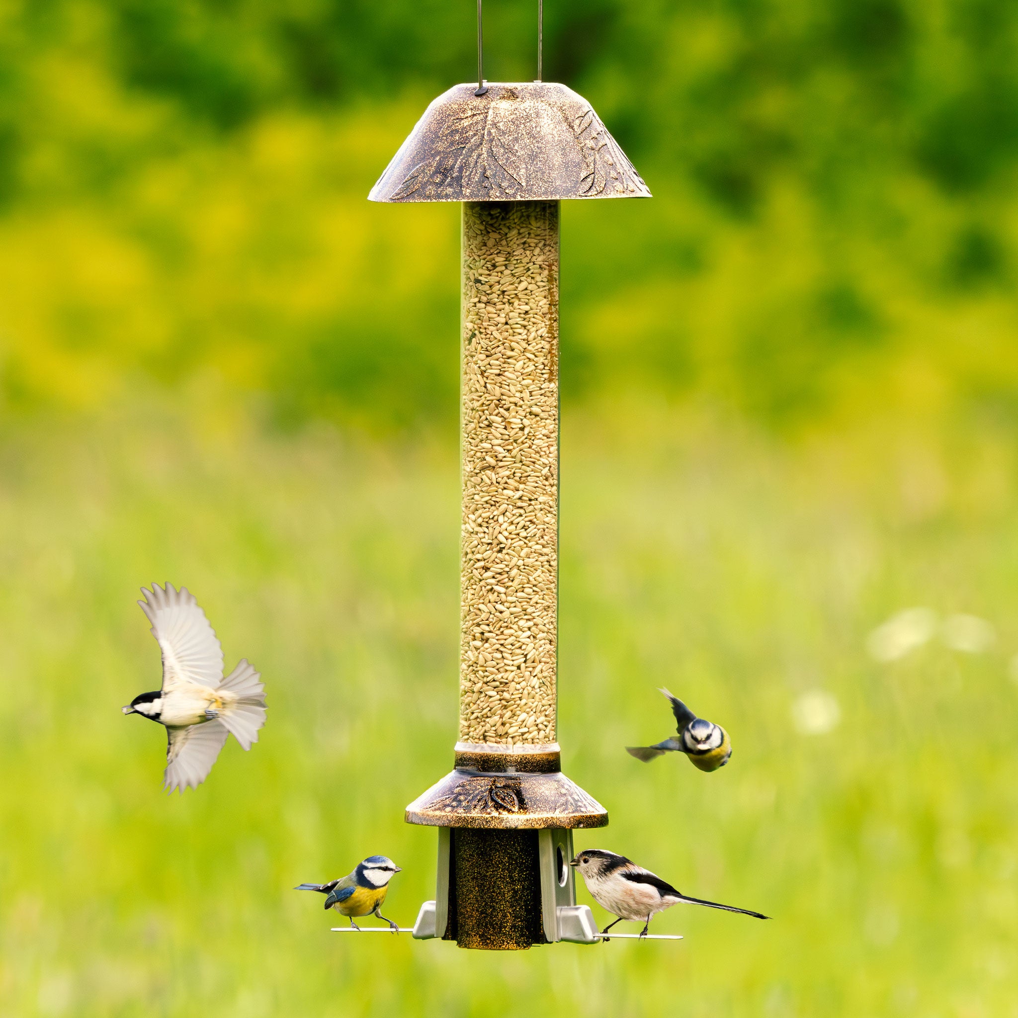 Roamwild PestOff Eichhörnchensicheres Vogelfutterhaus 2.0 