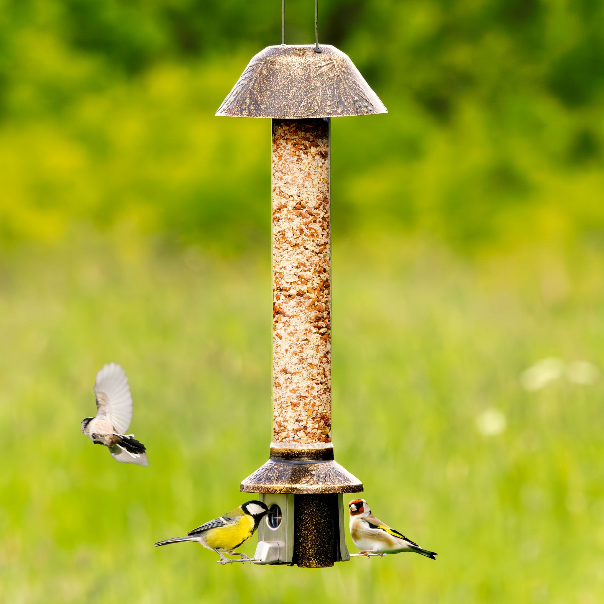 Roamwild PestOff Eichhörnchensicherer Vogelfutterspender 2.0 | Antikgold für gemischte Samen/Sonnenblumenherzen