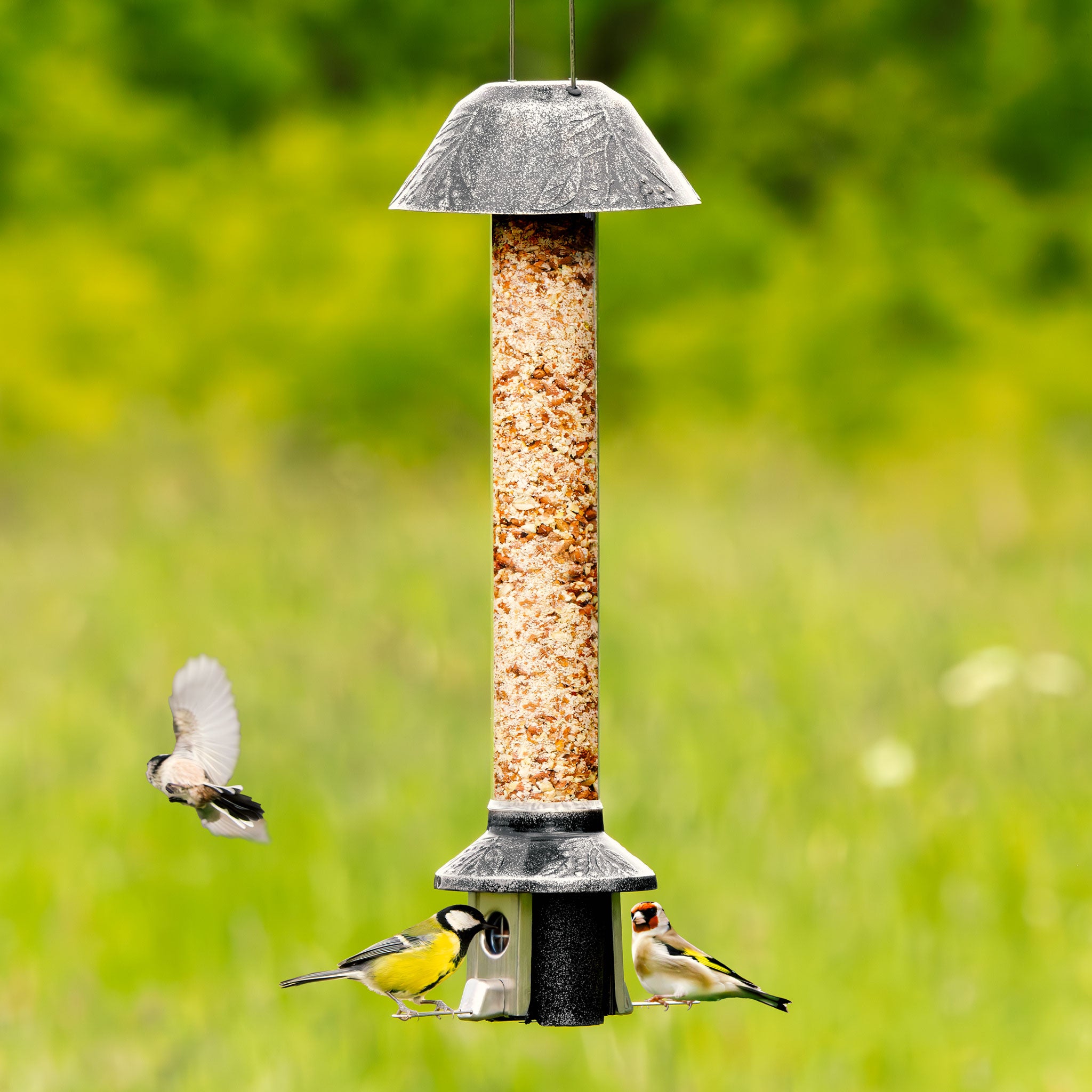 Roamwild PestOff Squirrel Proof Bird Feeder 2.0 | Antique Platinum For Mixed Seed/Sunflower Hearts