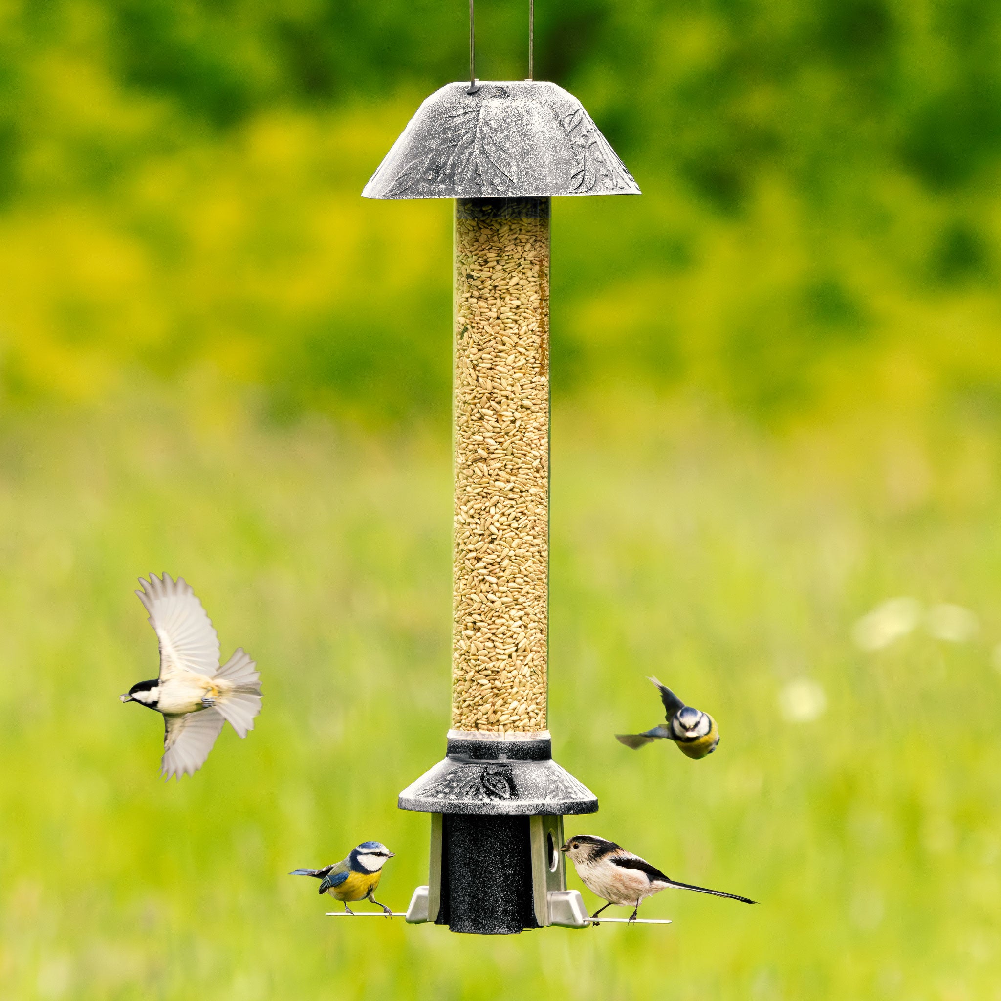 Roamwild PestOff Eichhörnchensicheres Vogelfutterhaus | Antikes Platin 