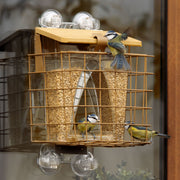 Arch Window Feeder: Squirrel Proof Cage Accessory