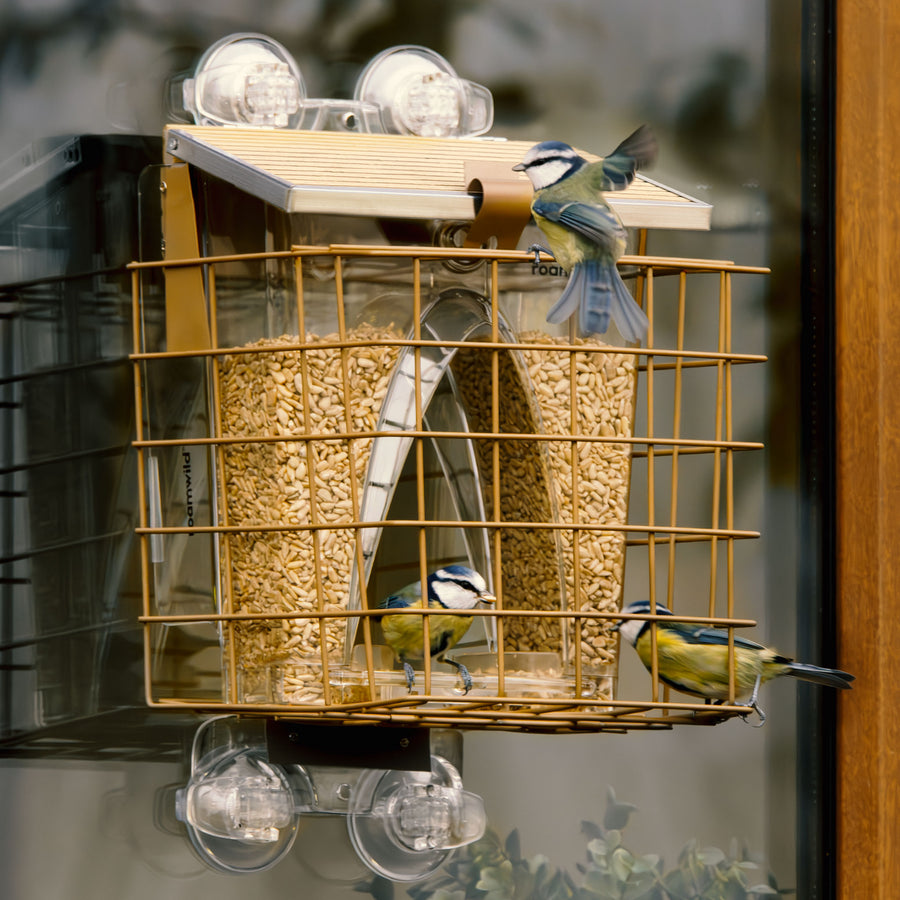 Bogenfenster-Futterspender: Eichhörnchensicheres Käfigzubehör