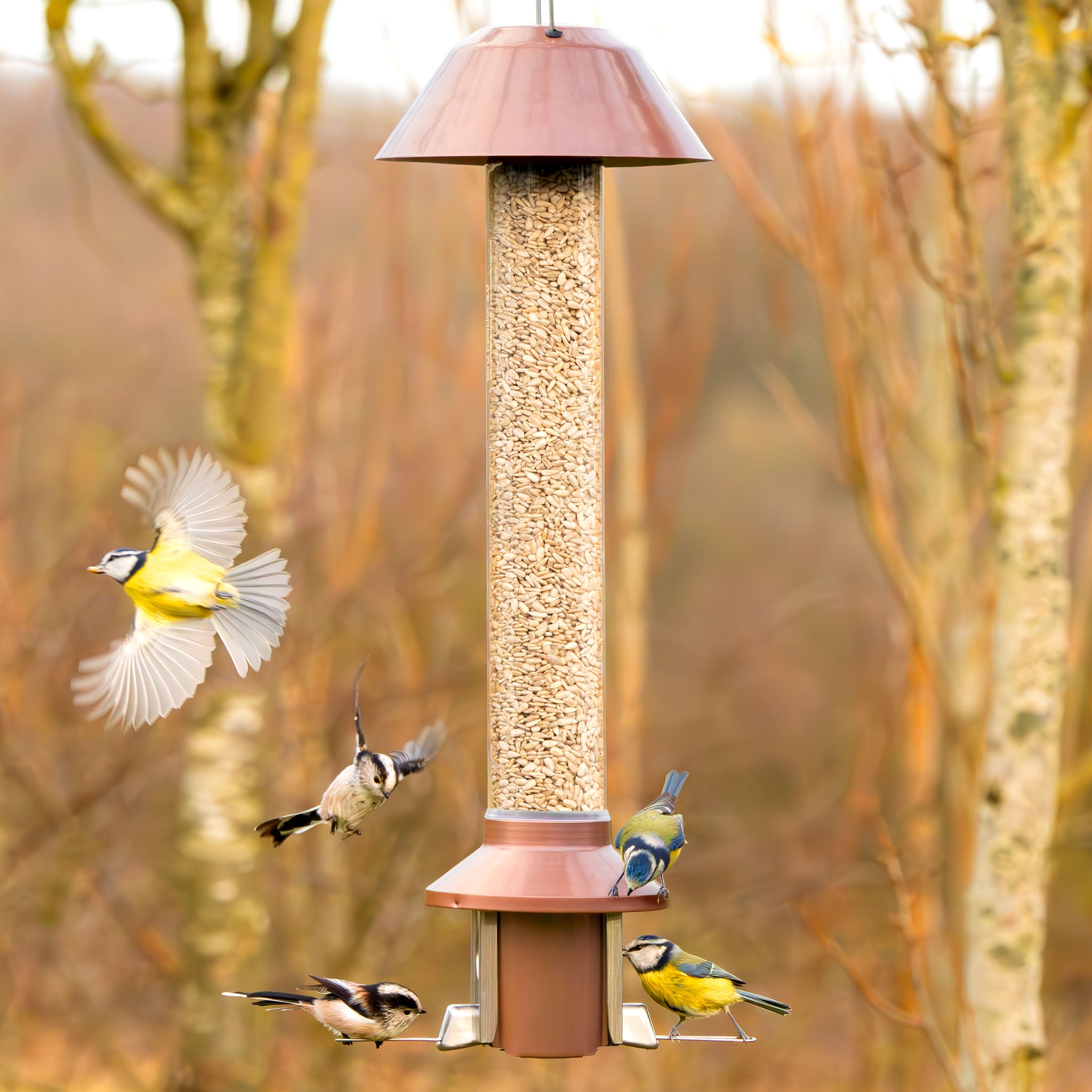 Roamwild PestOff Squirrel Proof Bird Feeder 2.0 For Mixed Seed/Sunflower Hearts