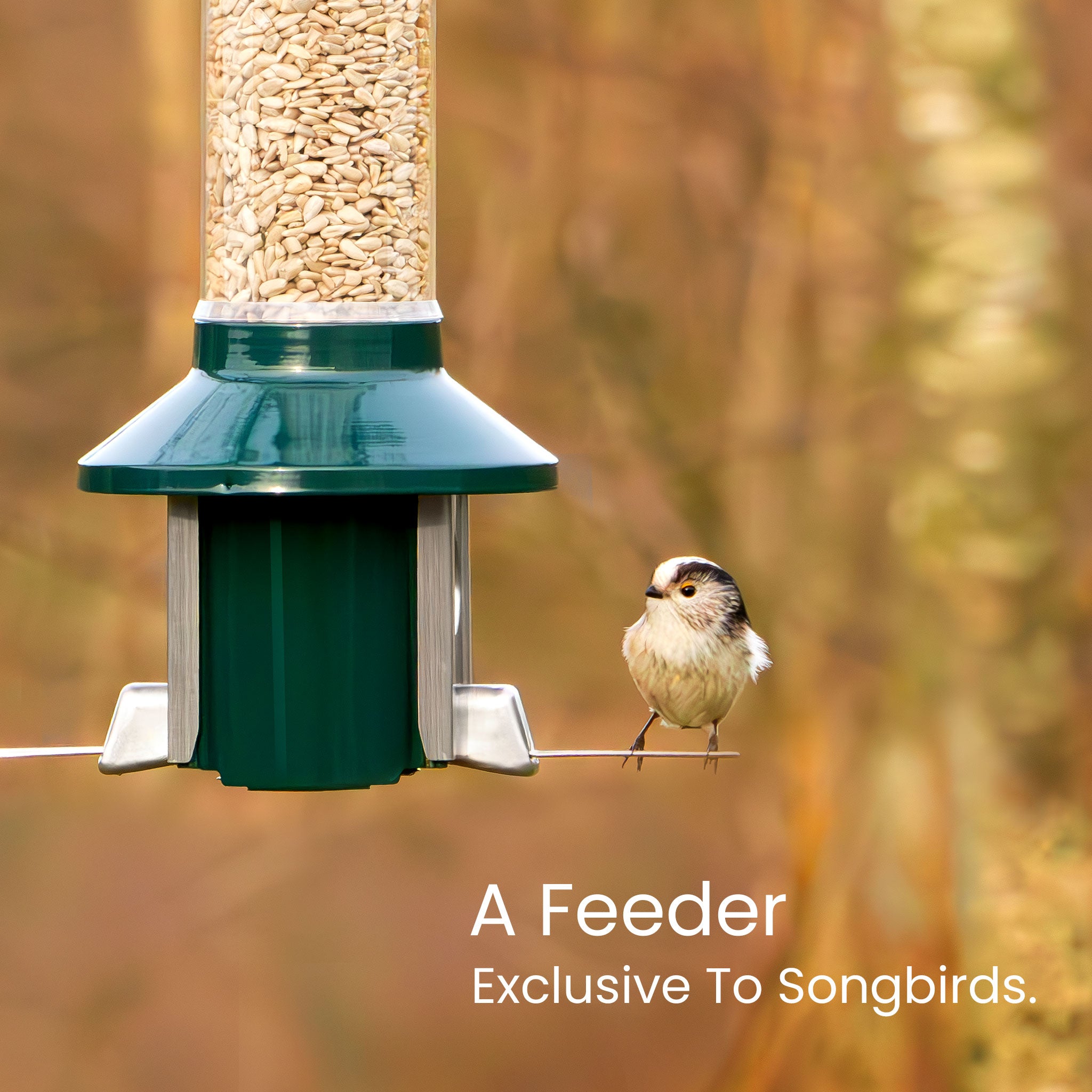 Roamwild PestOff Eichhörnchensicheres Vogelfutterhaus 2.0 