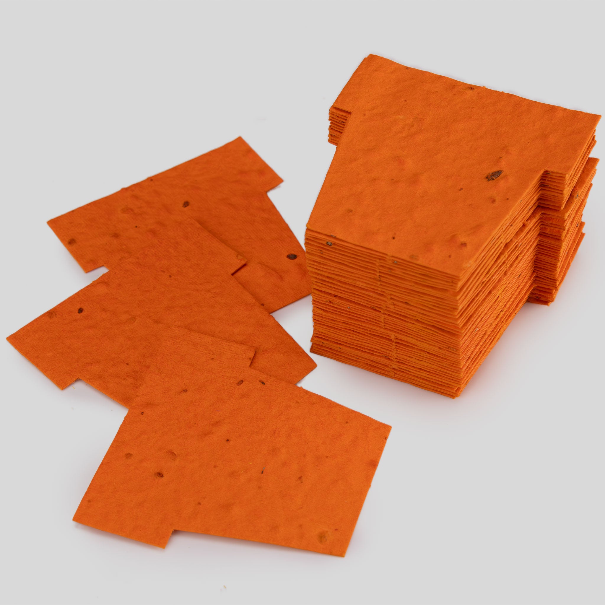 Roamwild Seeded Paper Shapes - Pak van 100 (Lieveheersbeestje) 