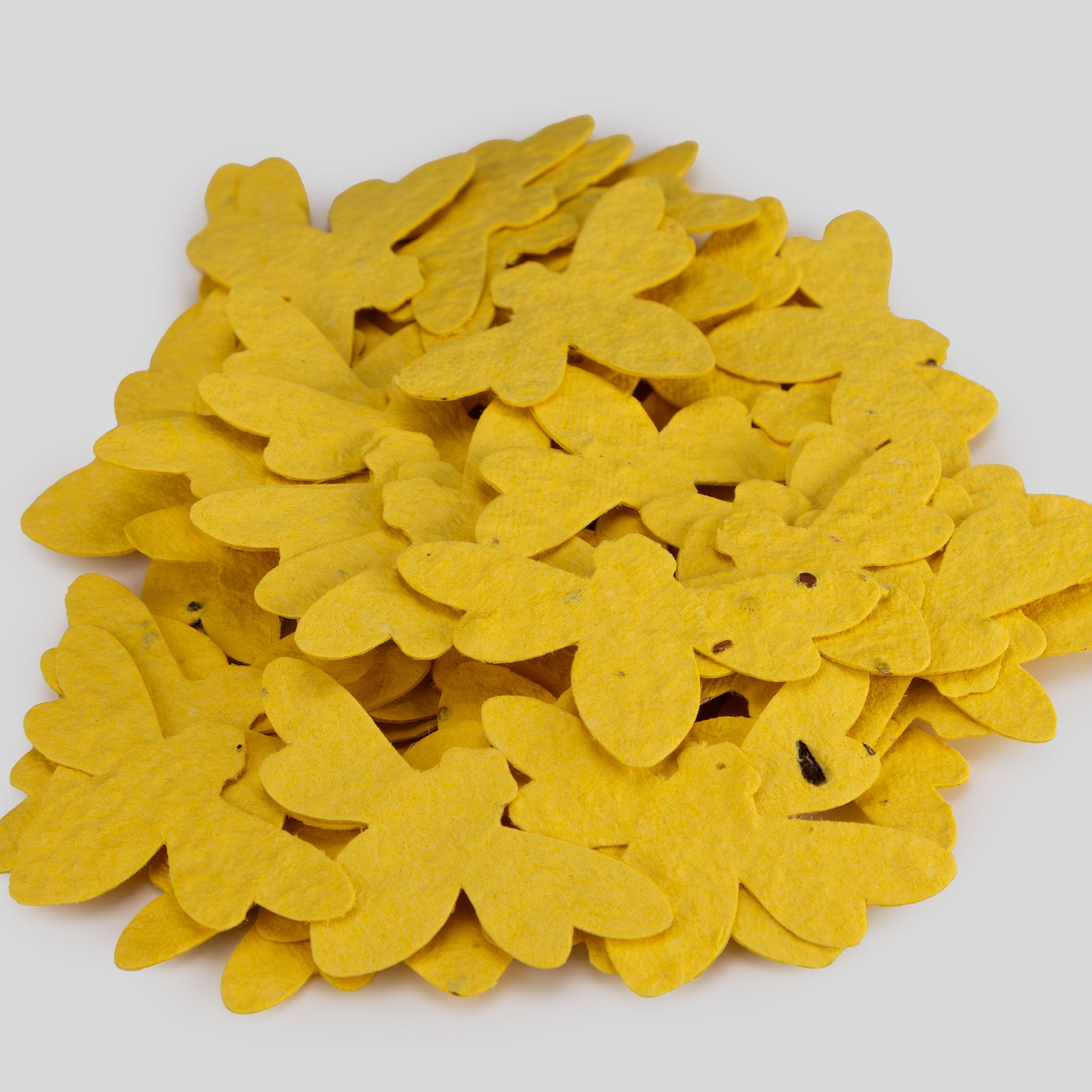 Roamwild Seeded Paper Shapes - Pak van 100 (Lieveheersbeestje) 