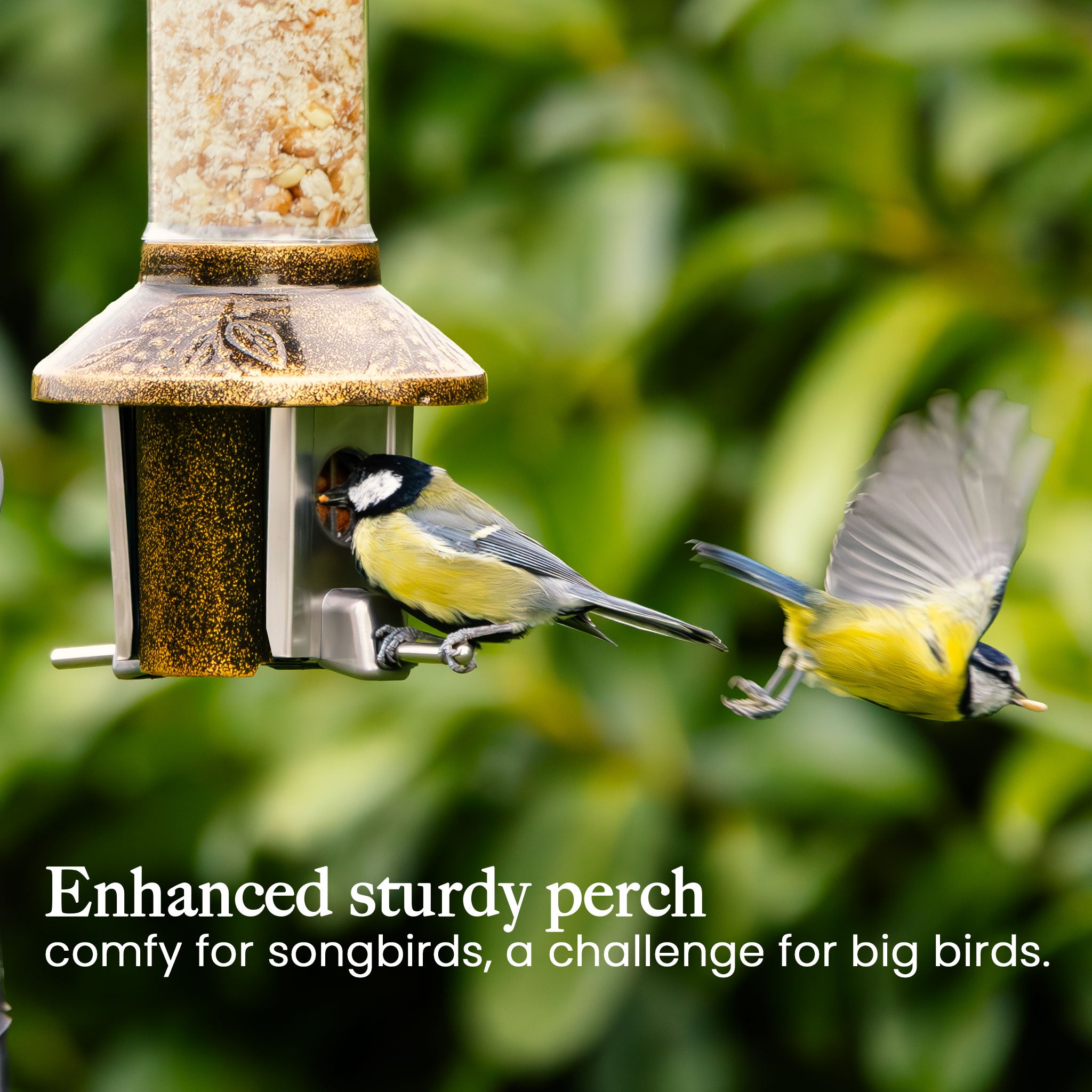 Roamwild PestOff Bird Feeder 3.0