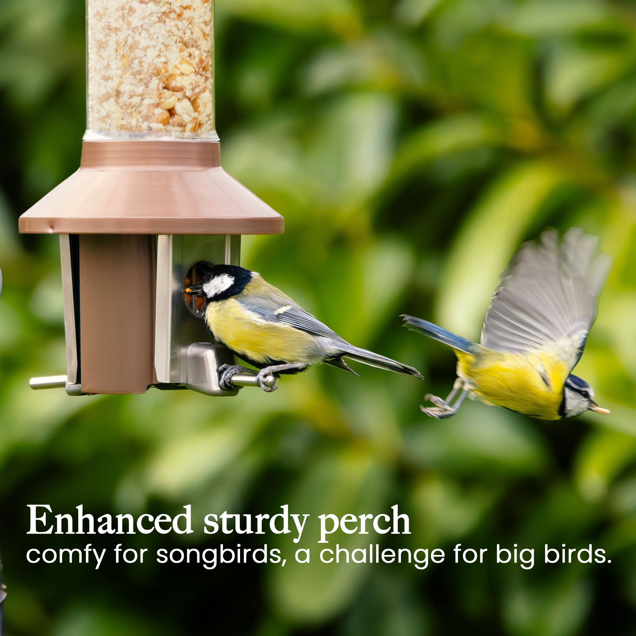 Roamwild PestOff Bird Feeder 3.0