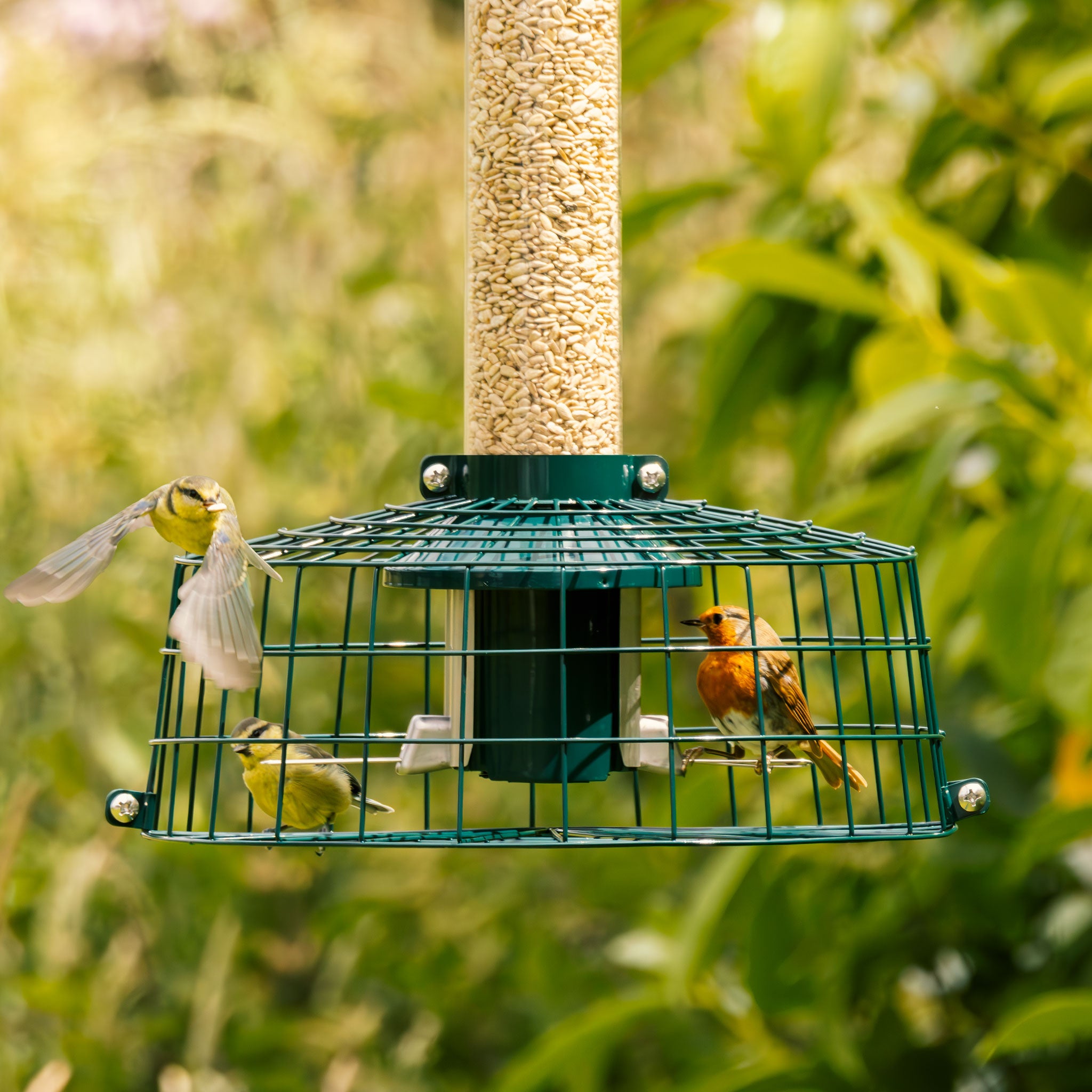 Roamwild PestOff Spreeuwbestendige kooiaccessoire