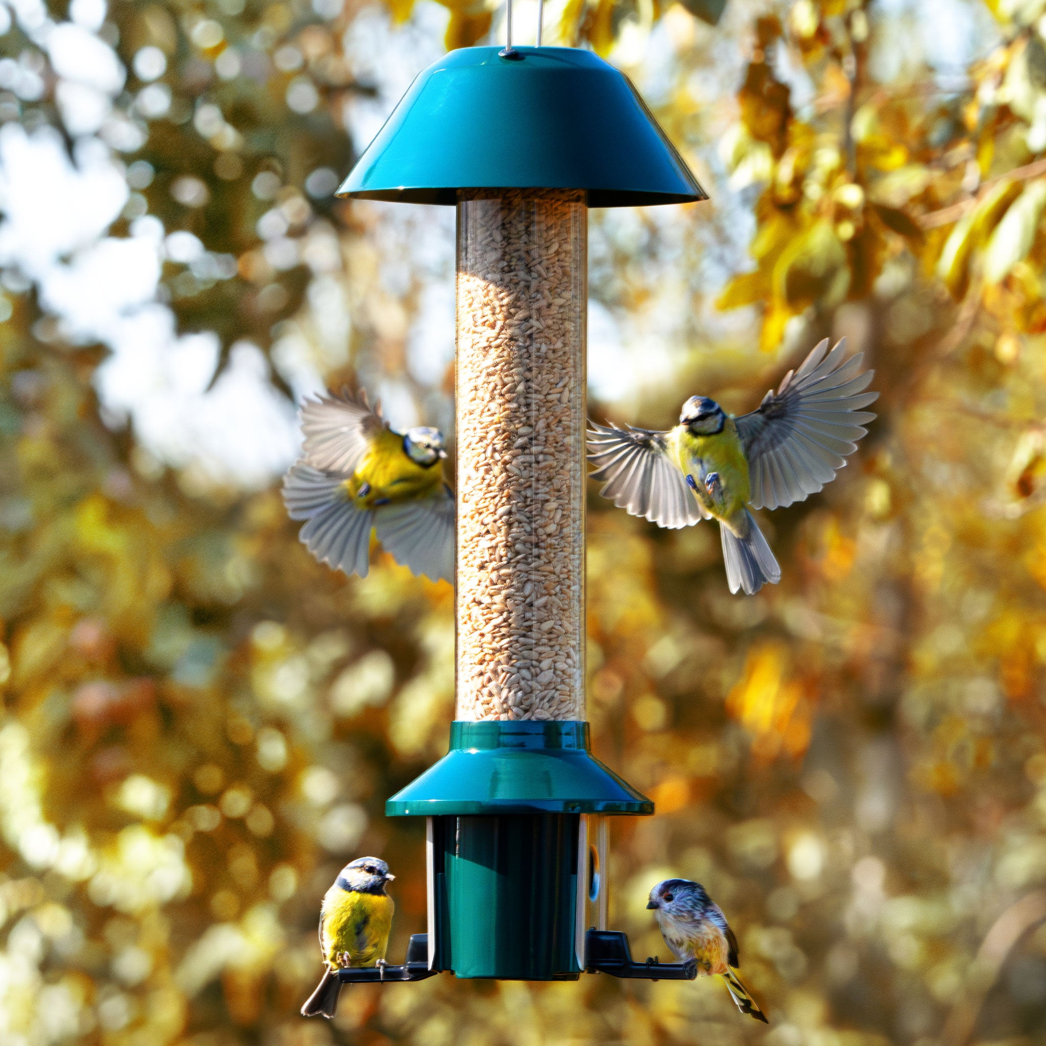 Roamwild PestOff Eichhörnchensicheres Vogelfutterhaus – kompakt 