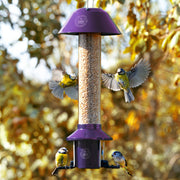 Roamwild PestOff Bird Feeder | Queen Elizabeth II Platinum Jubilee Tribute