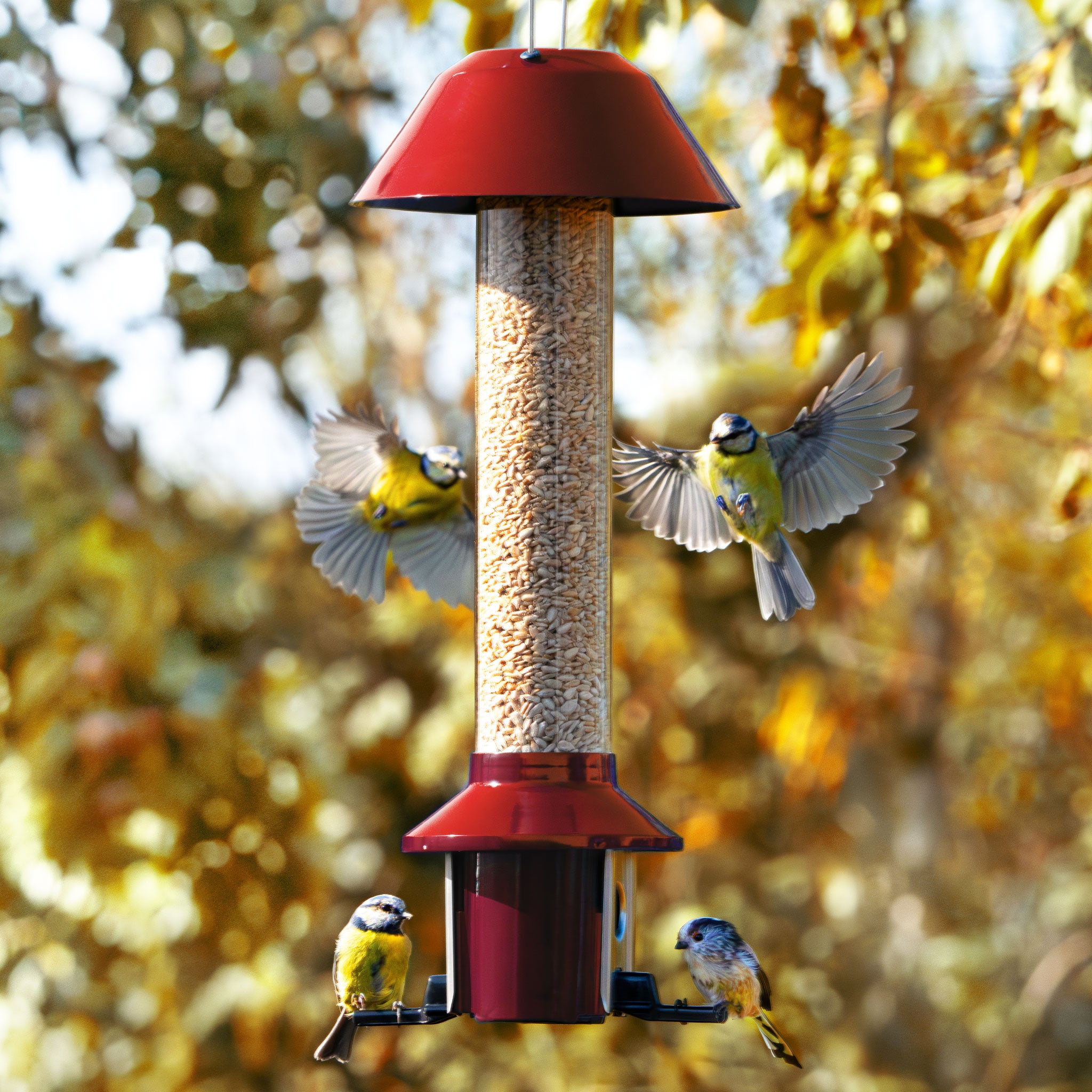 Roamwild Eichhörnchensichere Vogelfutterstation – Antik Platinum, Mit Regenschutz, Bis 1,8 Kg Fassungsvermögen