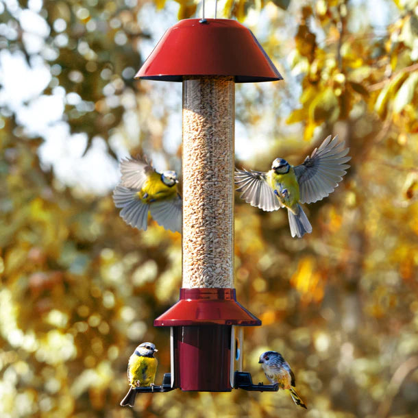 Roamwild PestOff Eekhoornbestendig vogelvoeder 