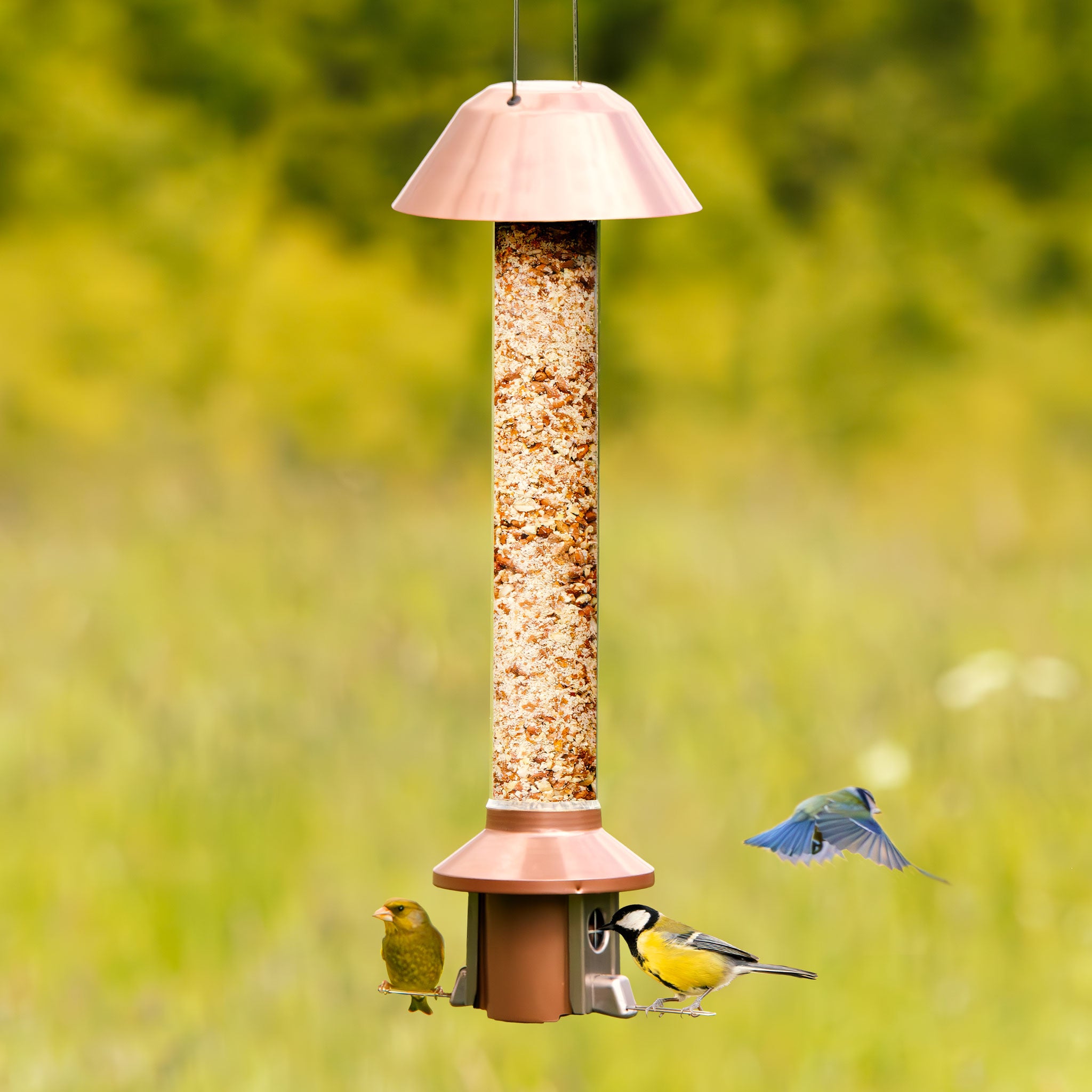 Roamwild PestOff Eekhoornbestendige Voederbak voor Vogels 2.0 | Antiek Koper Voor Gemengde Zaden/Zonnebloemharten