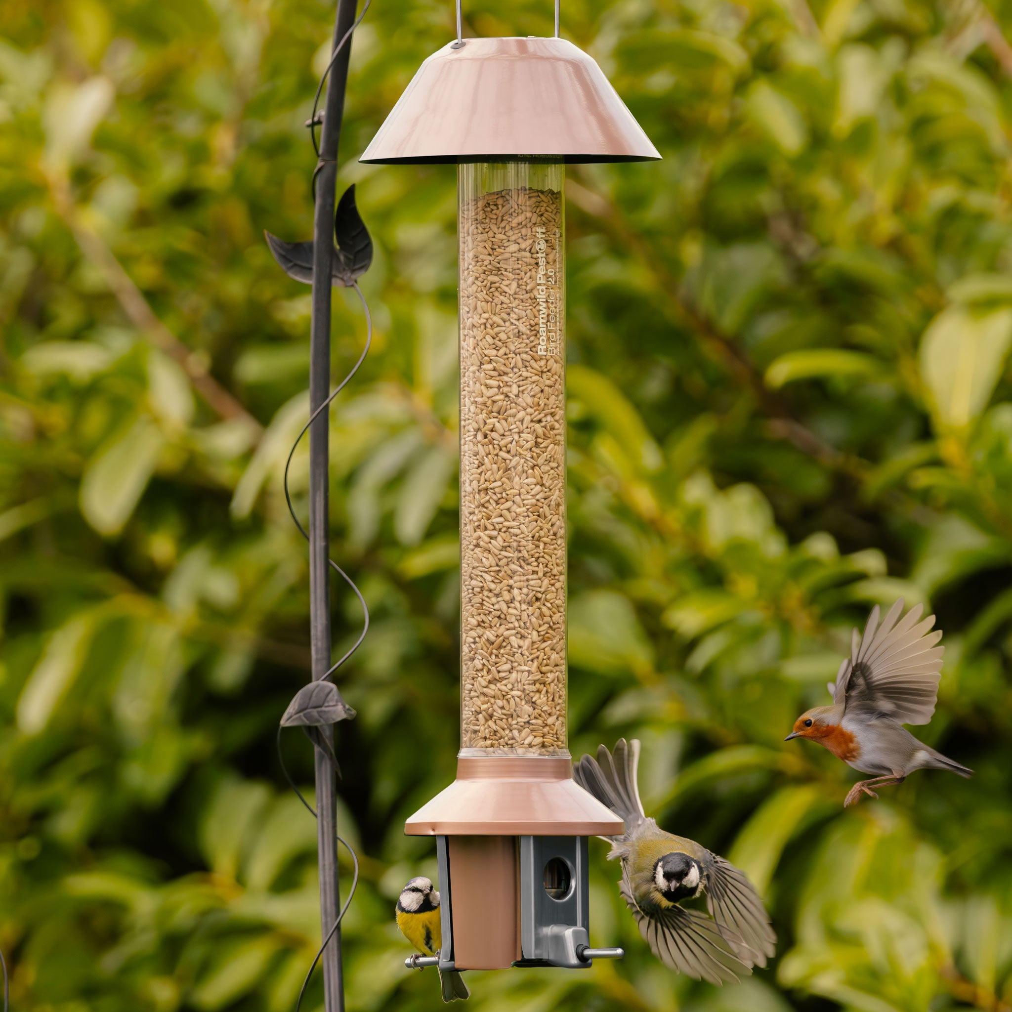 Roamwild PestOff Bird Feeder 3.0