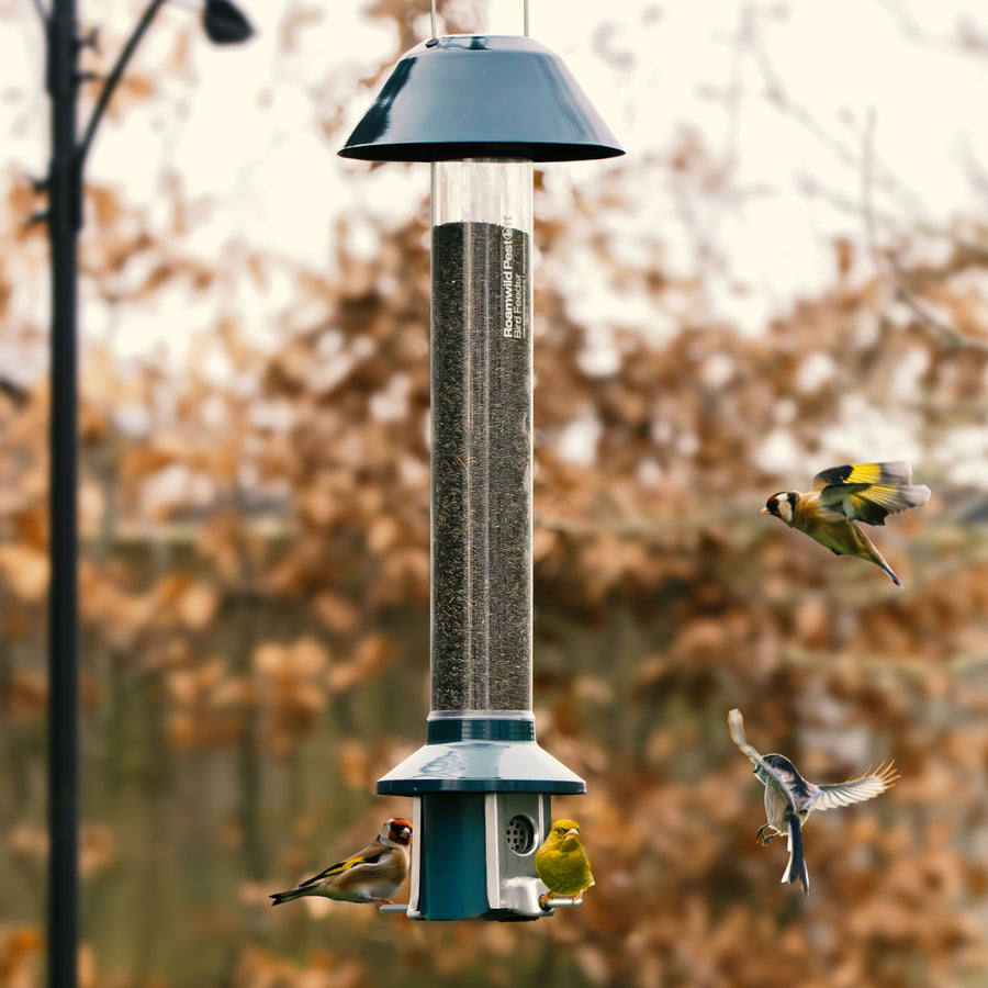 Roamwild PestOff Eichhörnchensicheres Vogelfutterhaus 2.0 für Erdnüsse/Mehlwürmer 