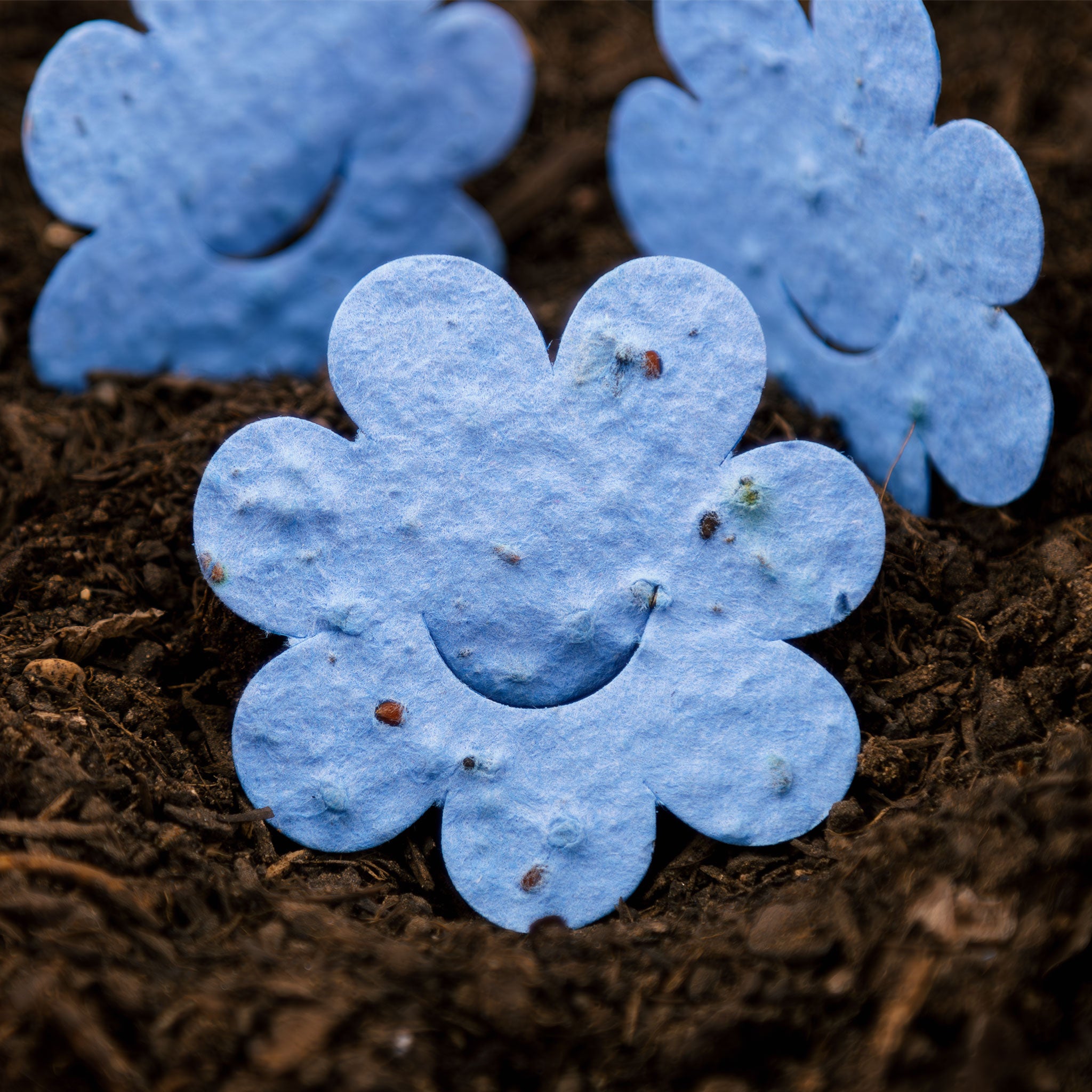 Roamwild Seeded Paper Shapes - Pak van 100 (Lieveheersbeestje) 