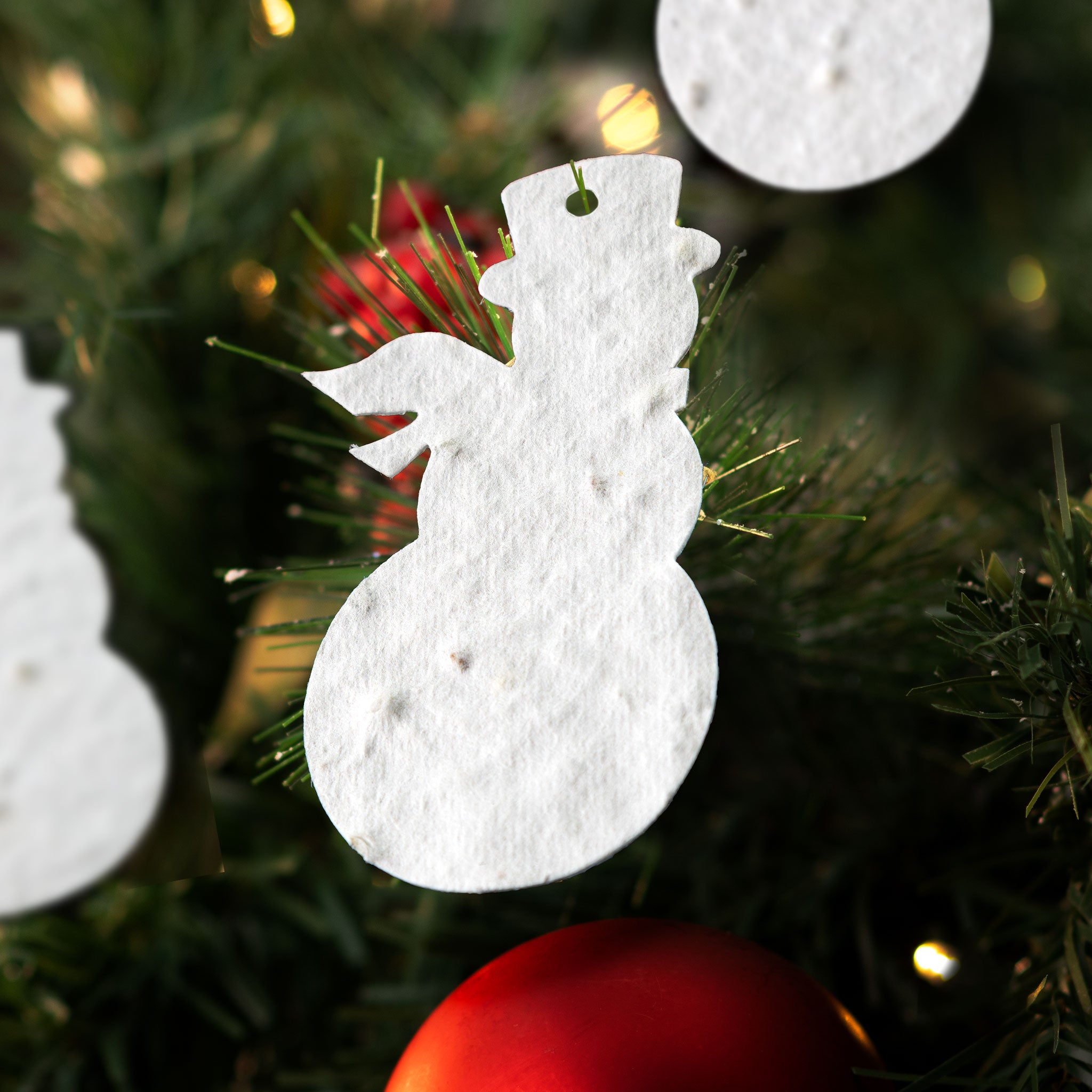 Roamwild Seeded Paper Shapes - (Christmas Snowman)