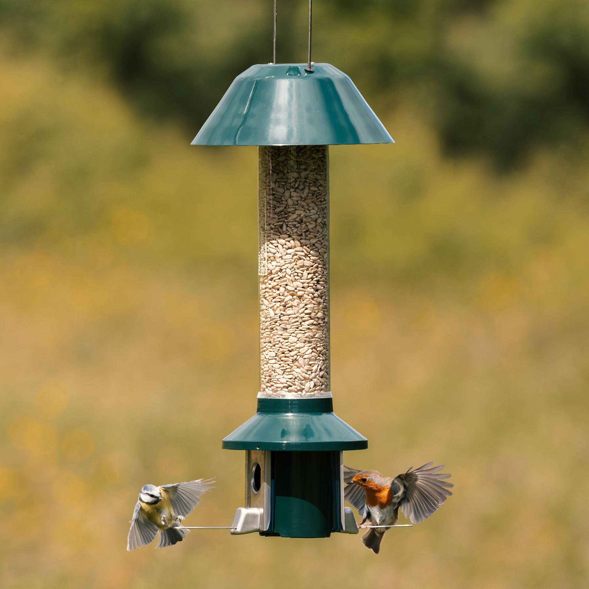 Roamwild PestOff Eichhörnchensicheres Vogelfutterhaus – kompakt 