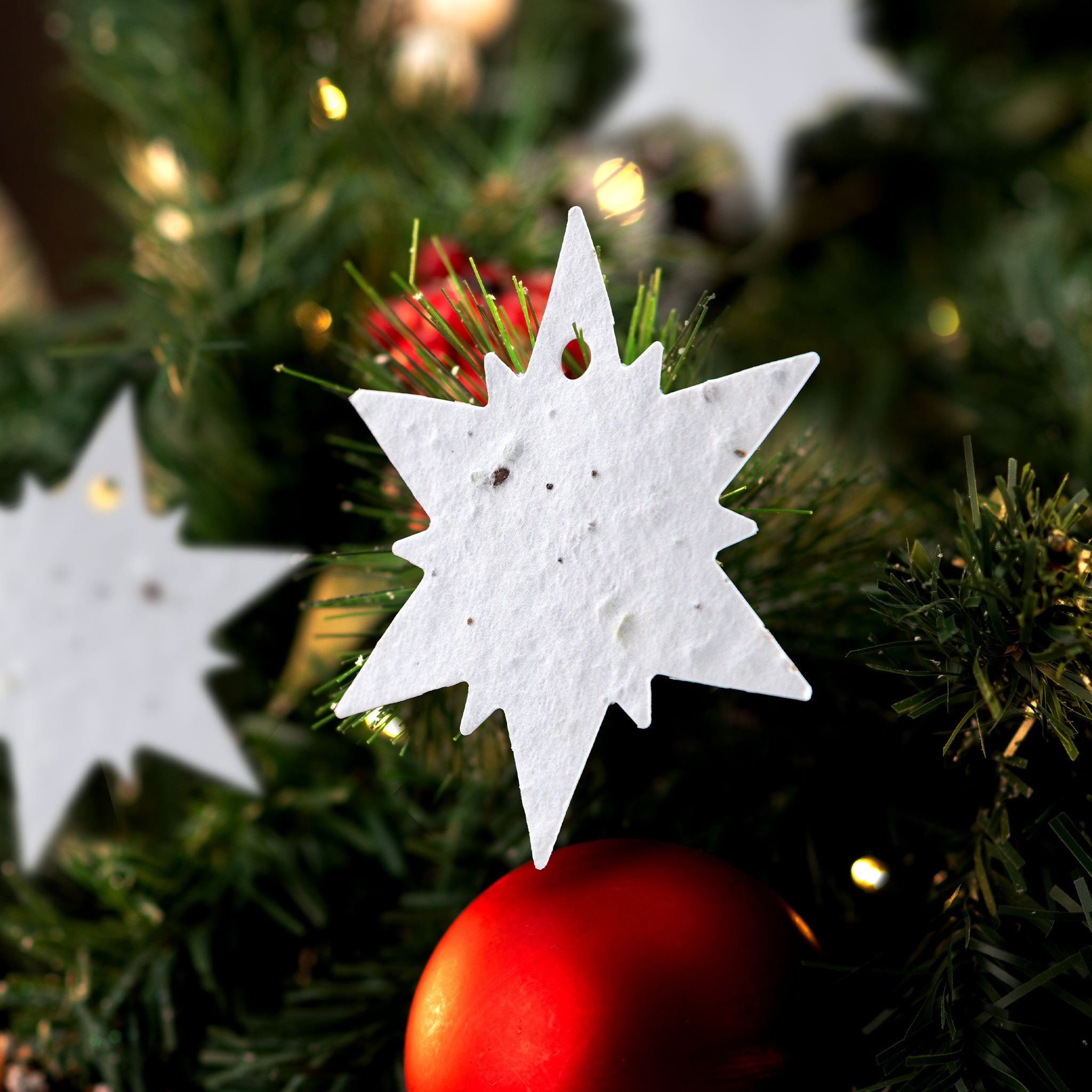 Roamwild Seeded Paper Shapes - (Christmas Snowflake)