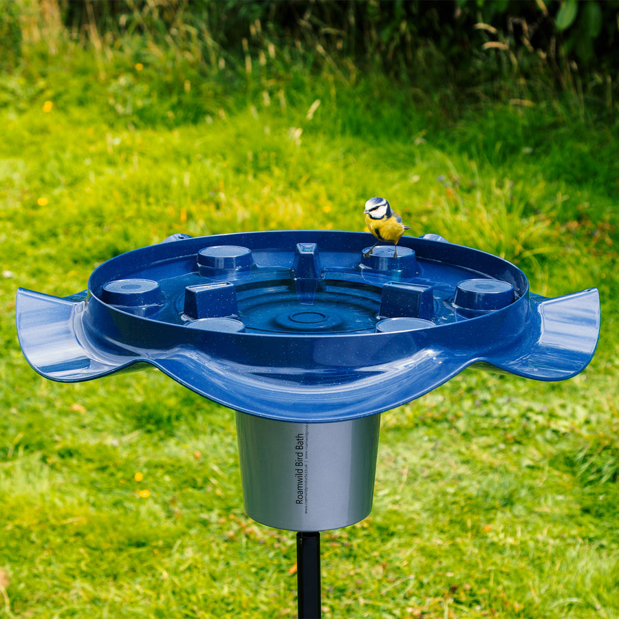 Modernes Vogelbad von Roamwild