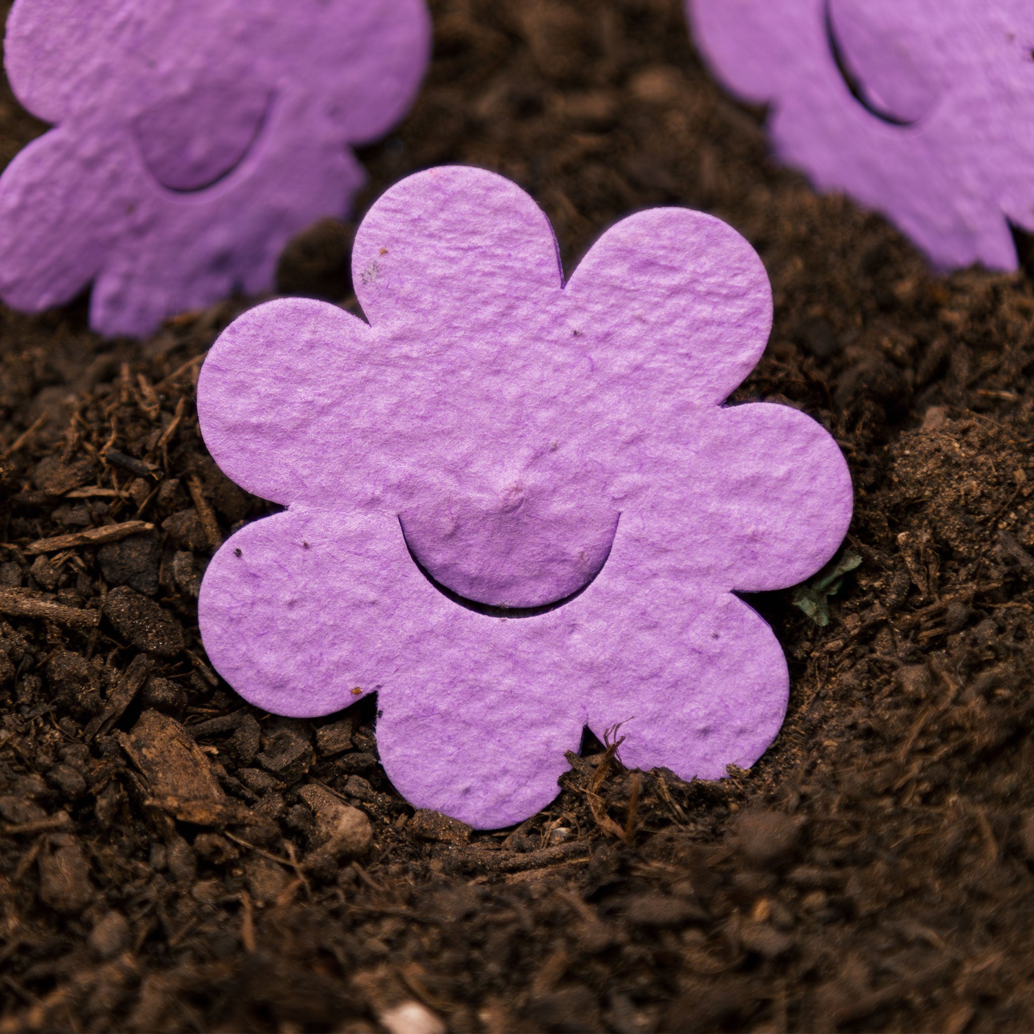 Roamwild Seeded Paper Shapes - Pak van 100 (Lieveheersbeestje) 