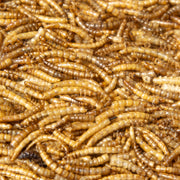 Roamwild Premium Mealworms (12.55kg)