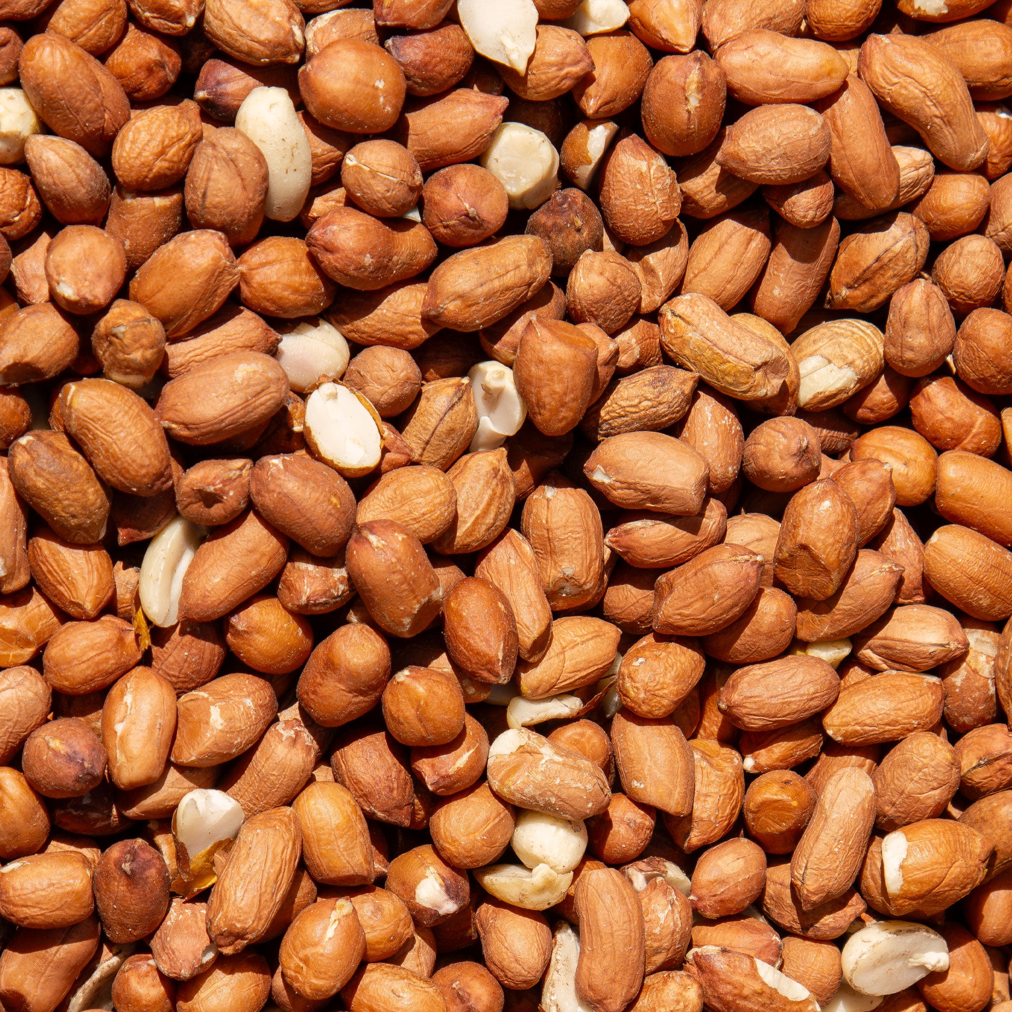 Roamwild Premium Peanuts (12.75kg)