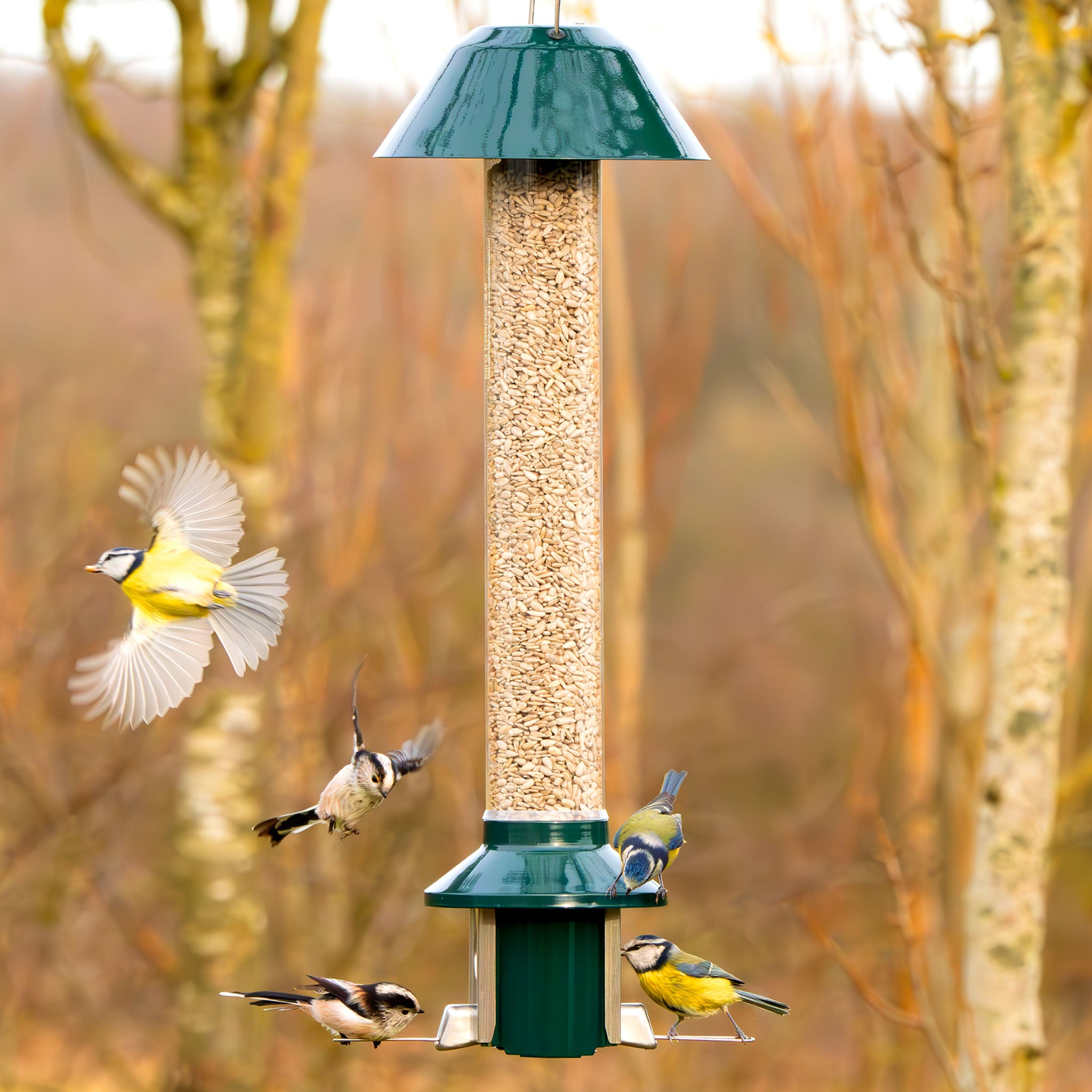 Roamwild PestOff Eichhörnchensicheres Vogelfutterhaus 2.0 