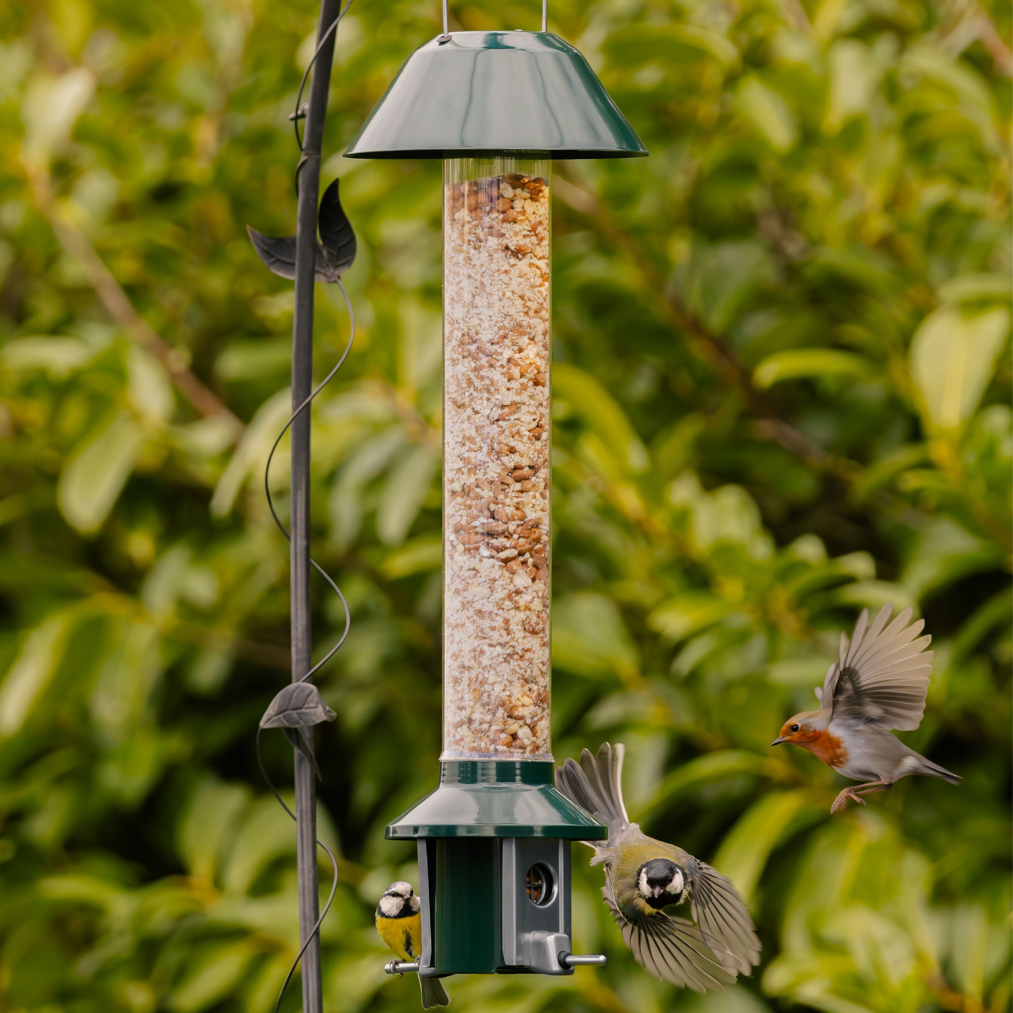 Excursies met de Weidevogel Express voor alle deelnemers weidevogelbeheer - BoerenNatuur Groningen West Excursies met de Weidevogel Express voor alle deelnemers weidevogelbeheer - BoerenNatuur Groningen West