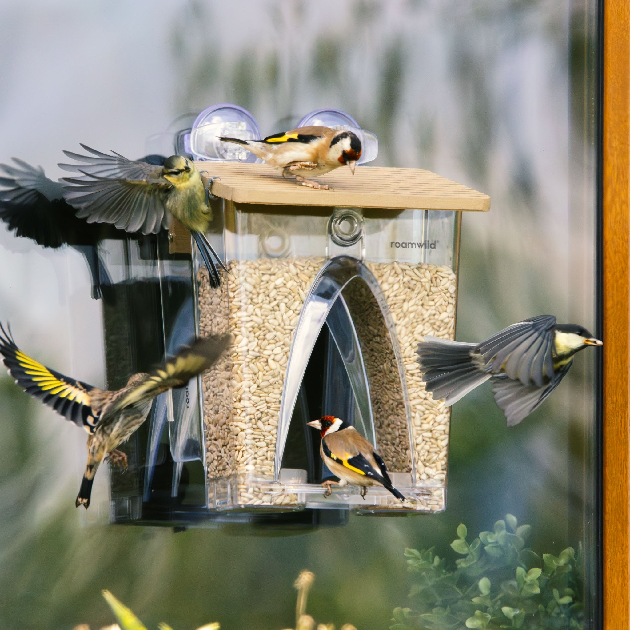 Roamwild Bogenfenster-Vogelfutterhaus