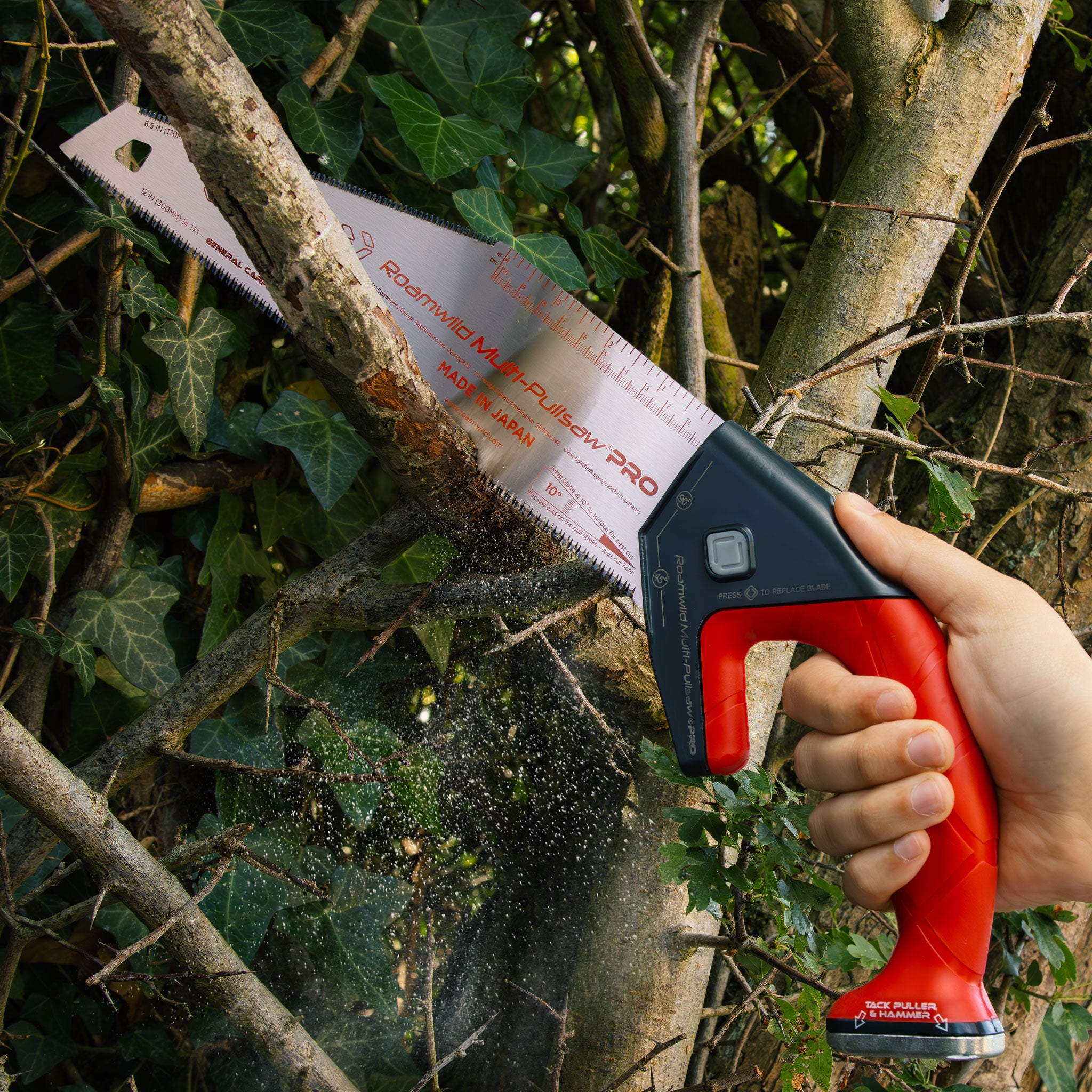 Pruning – Roamwild