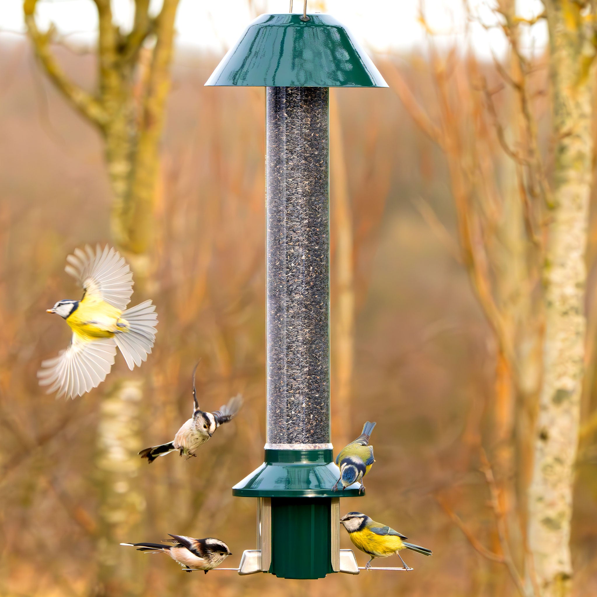 Roamwild PestOff Eichhörnchensicheres Vogelfutterhaus 2.0 für Erdnüsse/Mehlwürmer 