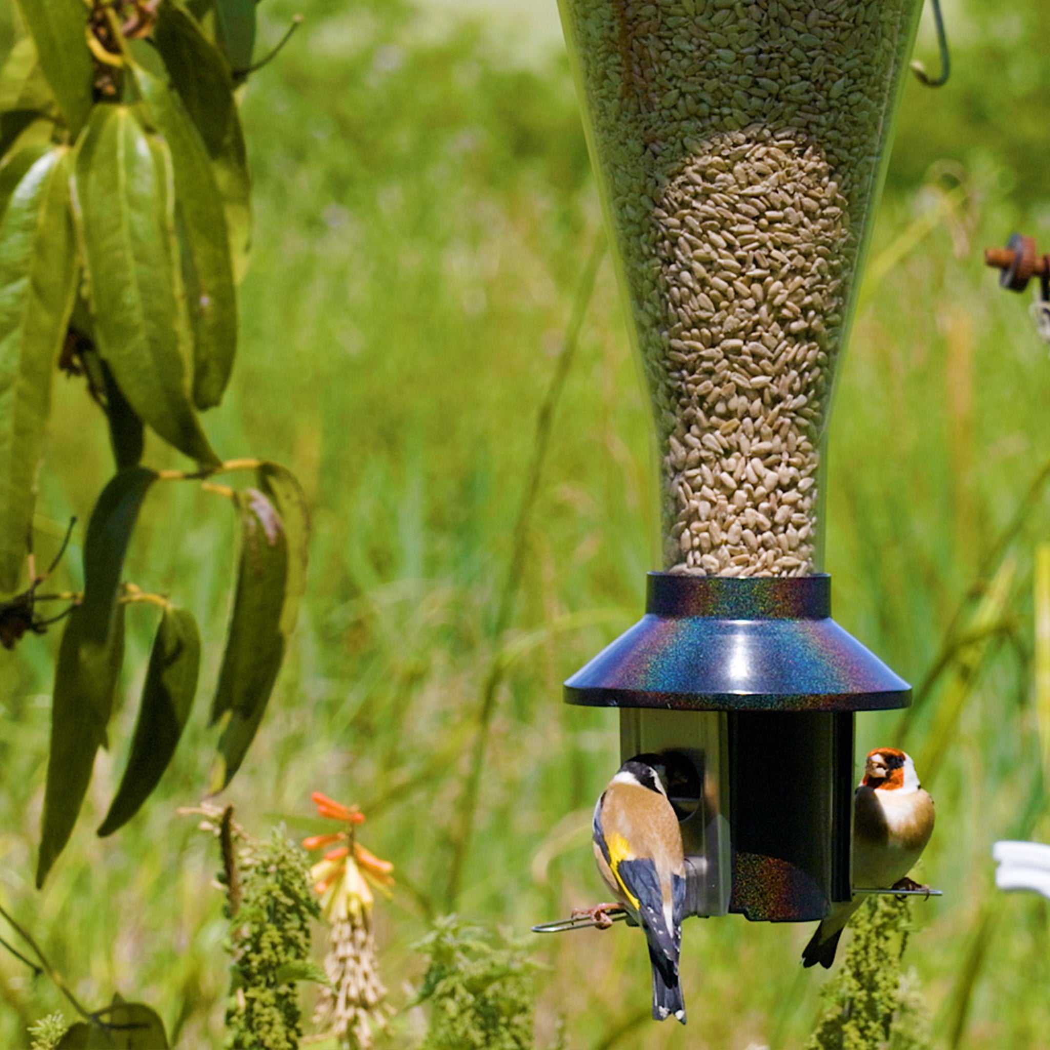 Roamwild Mega PestOff Eekhoornbestendig vogelvoeder 