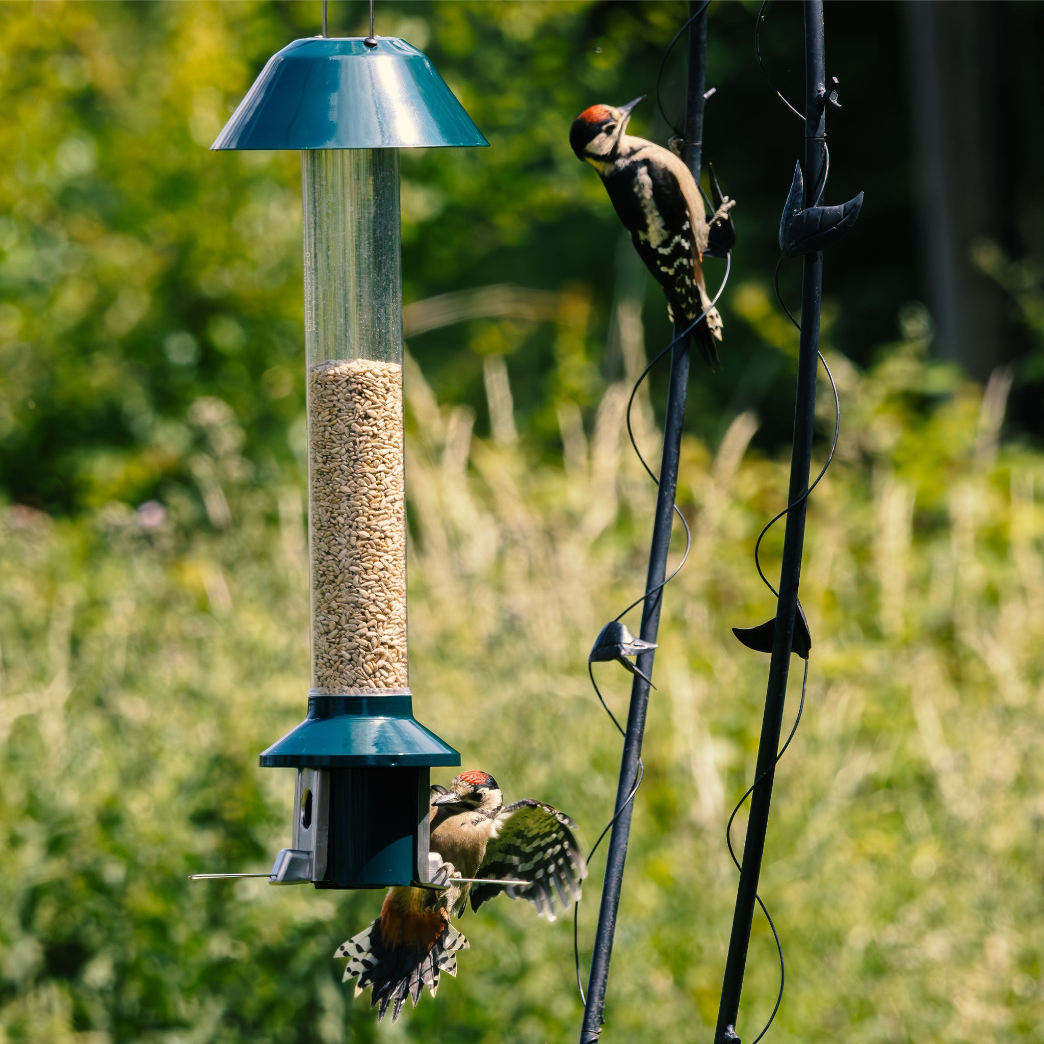 Roamwild PestOff Herzstation