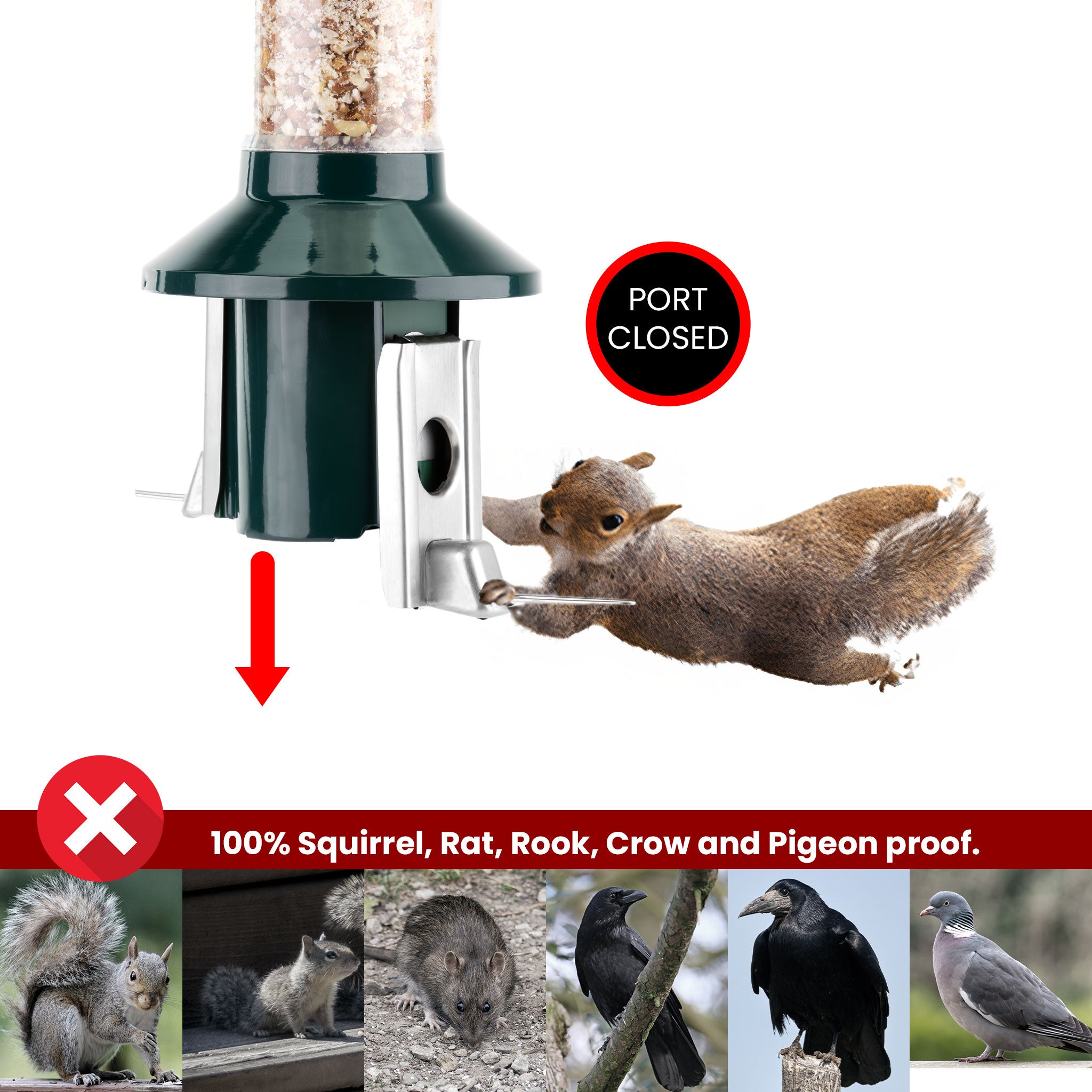 Roamwild PestOff Squirrel Proof Bird Feeder 2.0 For Peanut/Mealworms