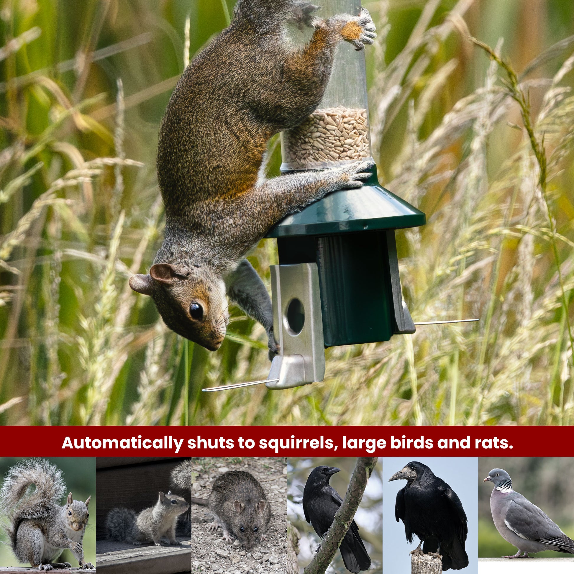 USED PestOff Green Bird Feeder - Squirrel Proof Design, For Mixed Seed, May Show Wear