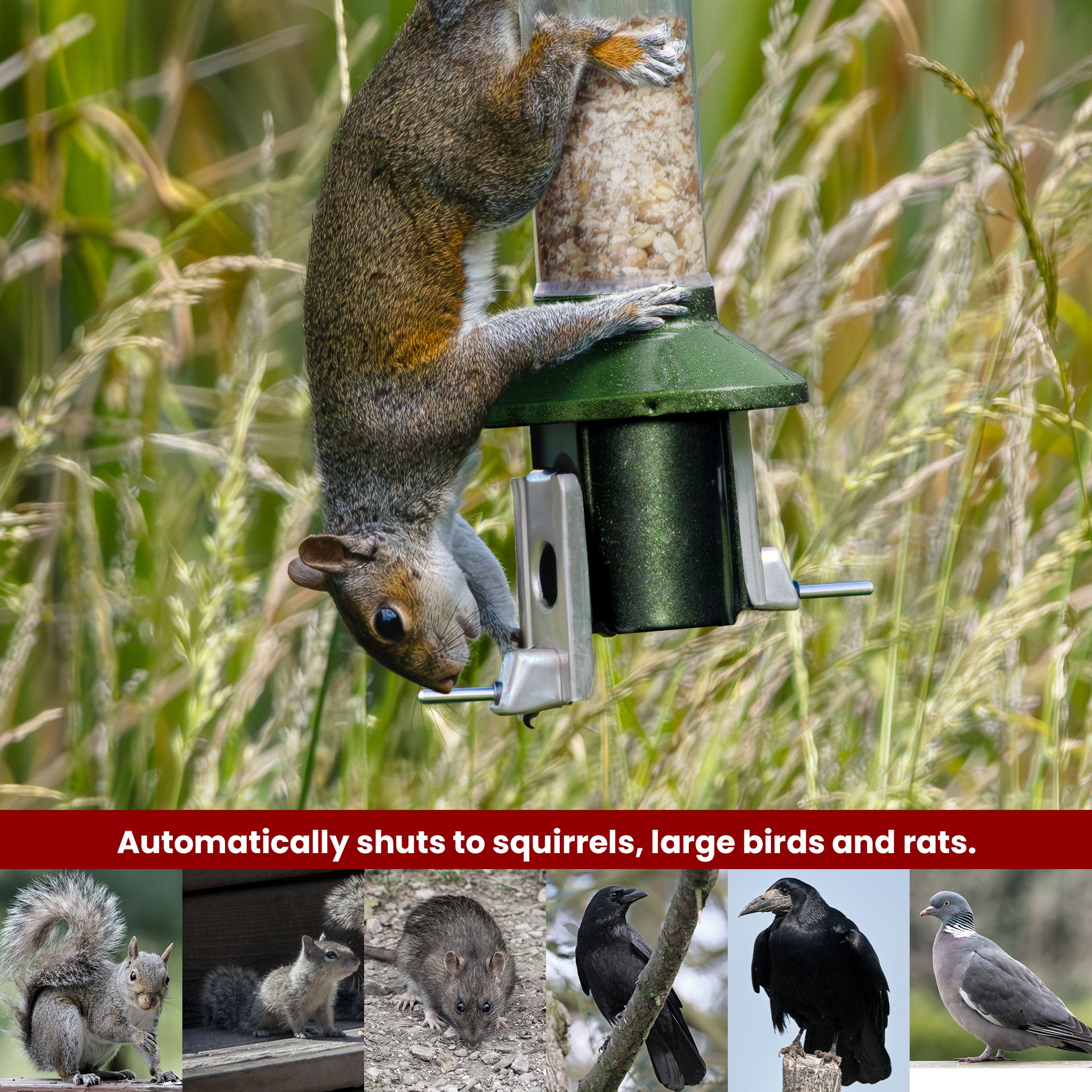 Roamwild PestOff Bird Feeder 3.0