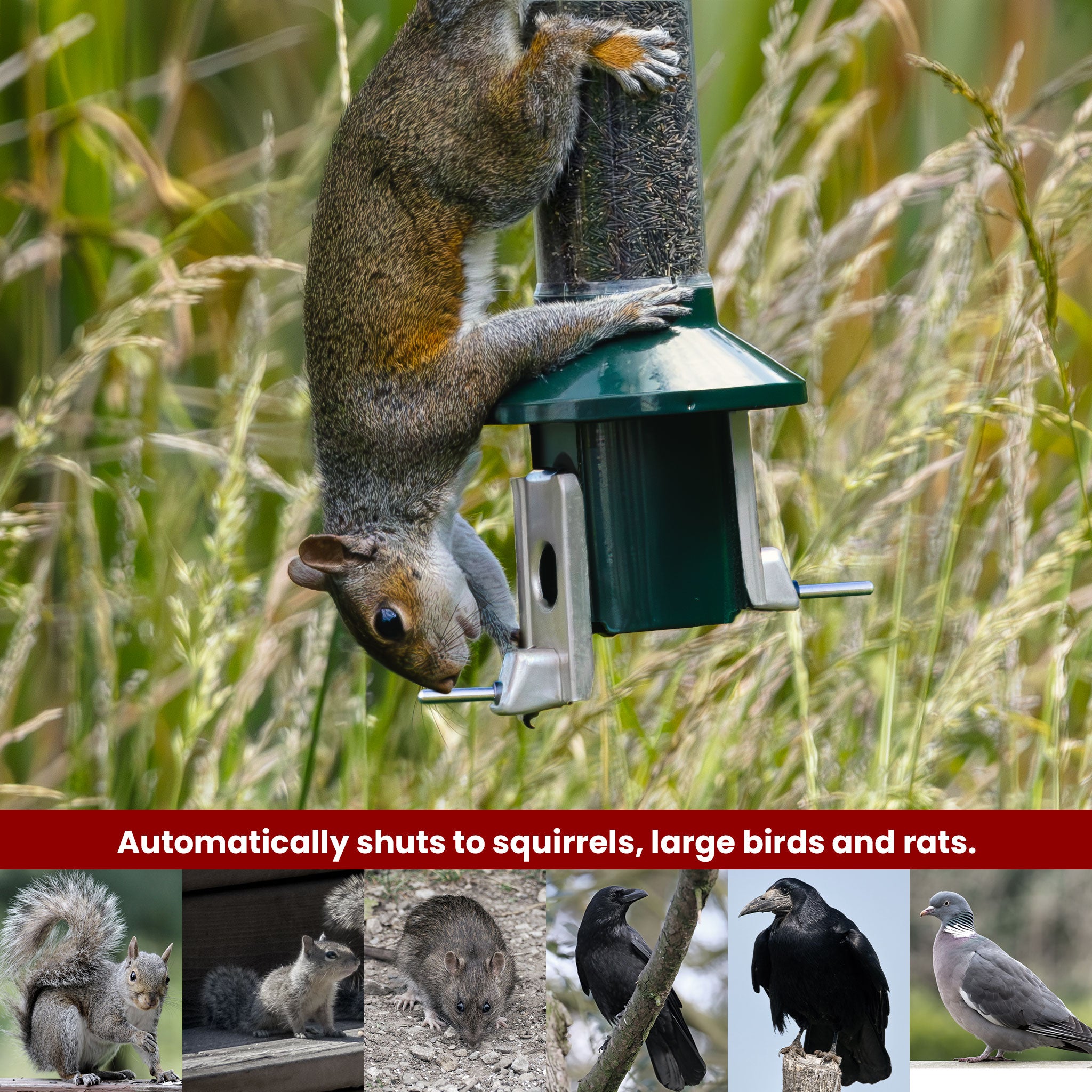 Roamwild PestOff Eekhoornbestendige Voederbak 2.0 Voor Nyjer/Distelzaad