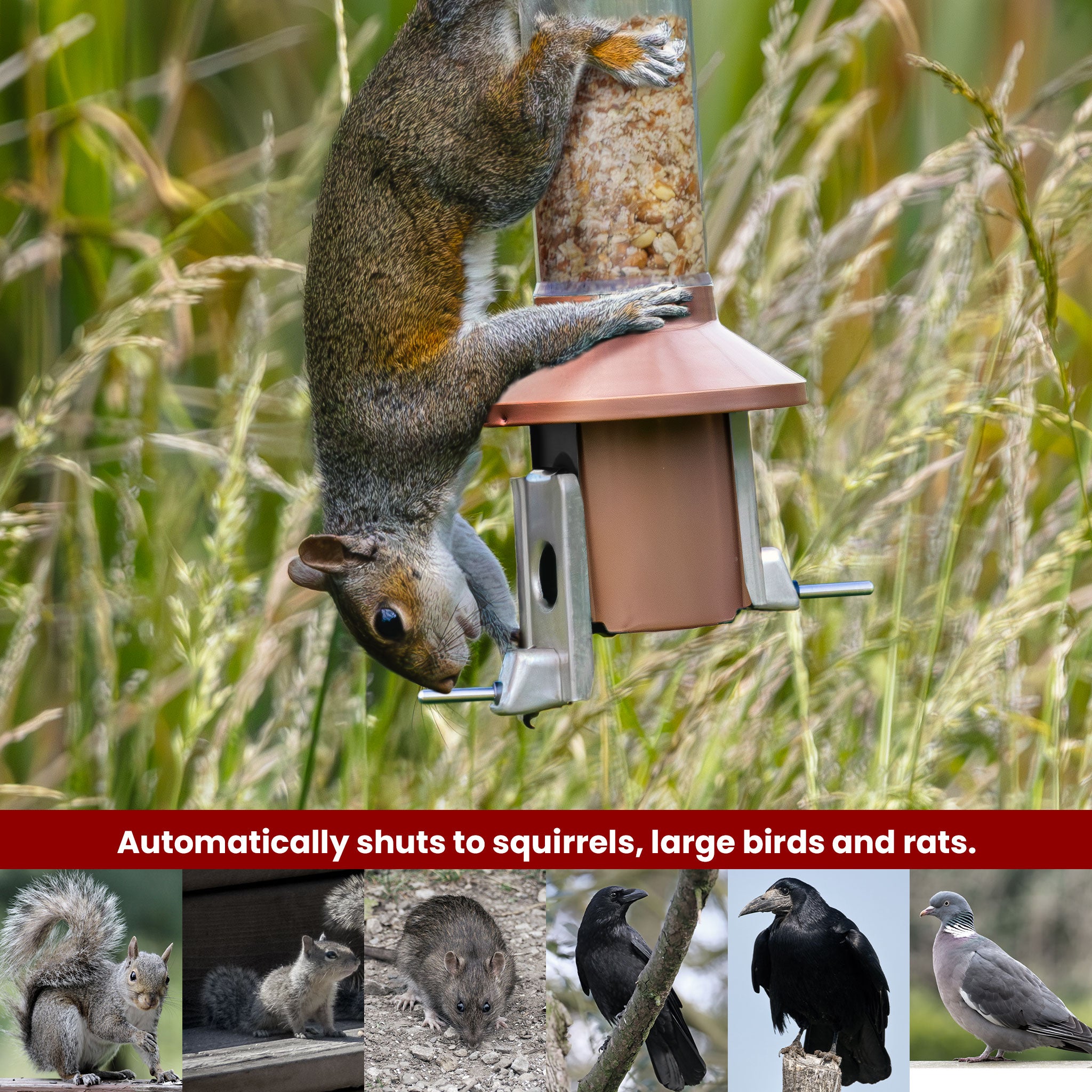 Roamwild PestOff Bird Feeder 3.0