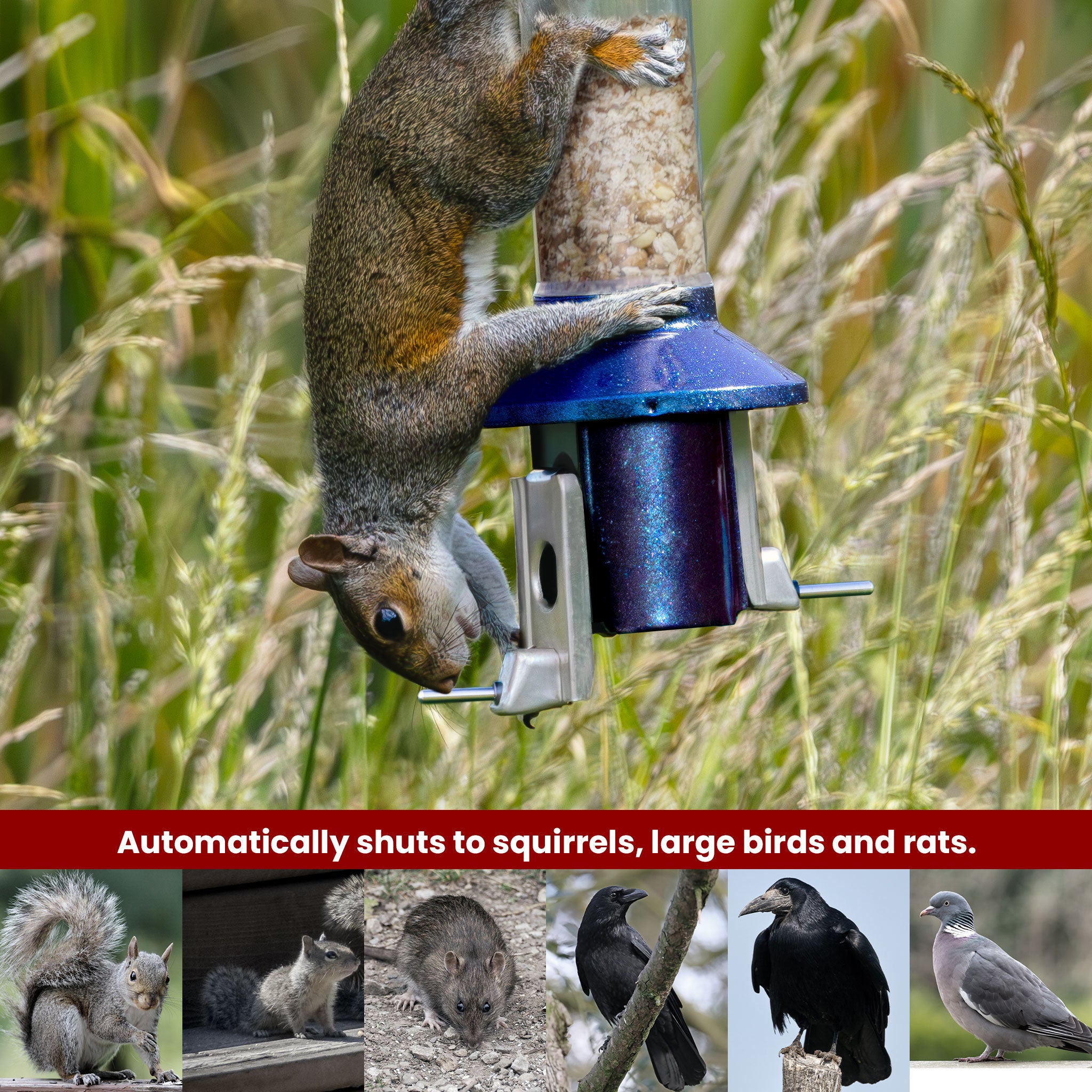 Roamwild PestOff Bird Feeder 3.0